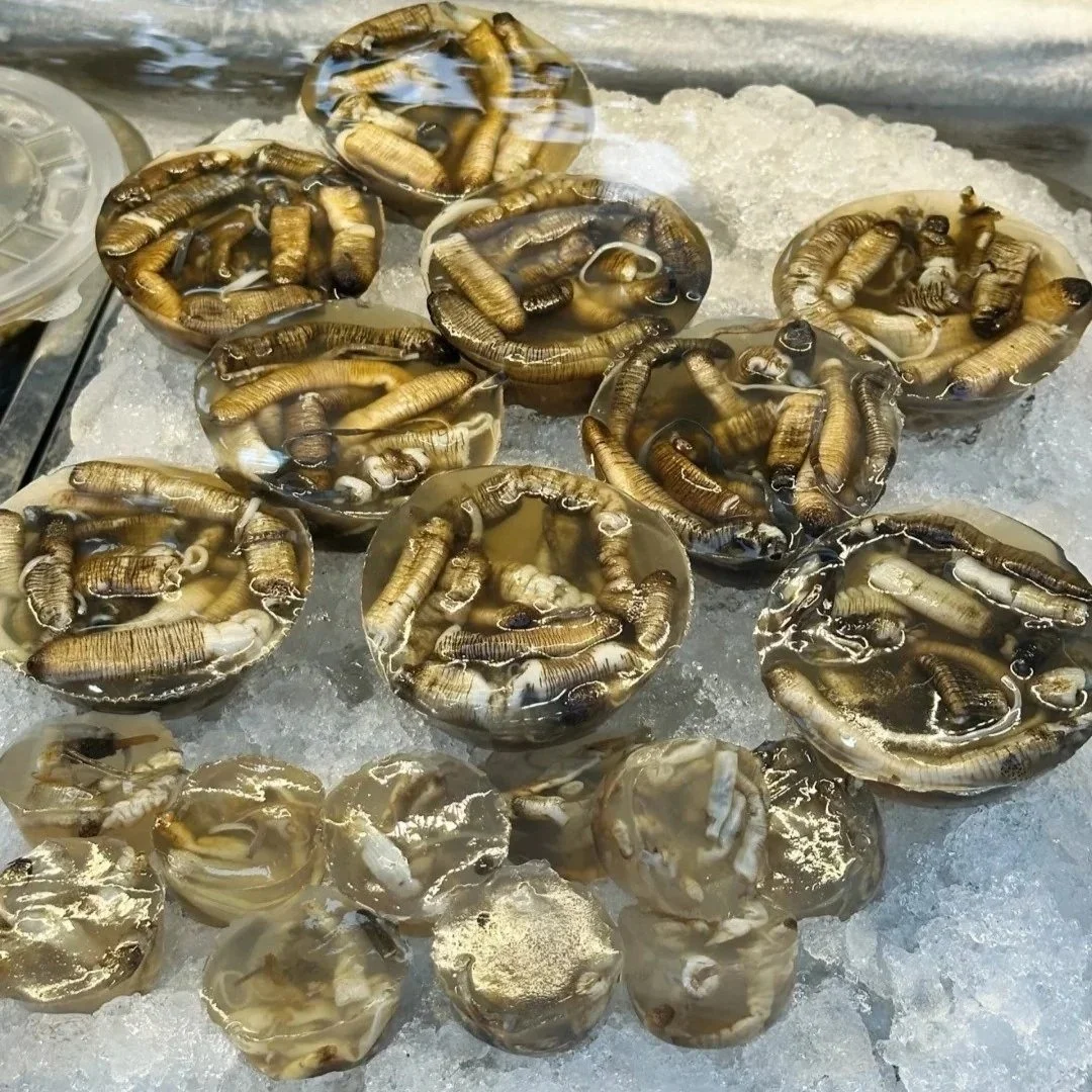 Tusundong gelatinous sea worms on ice