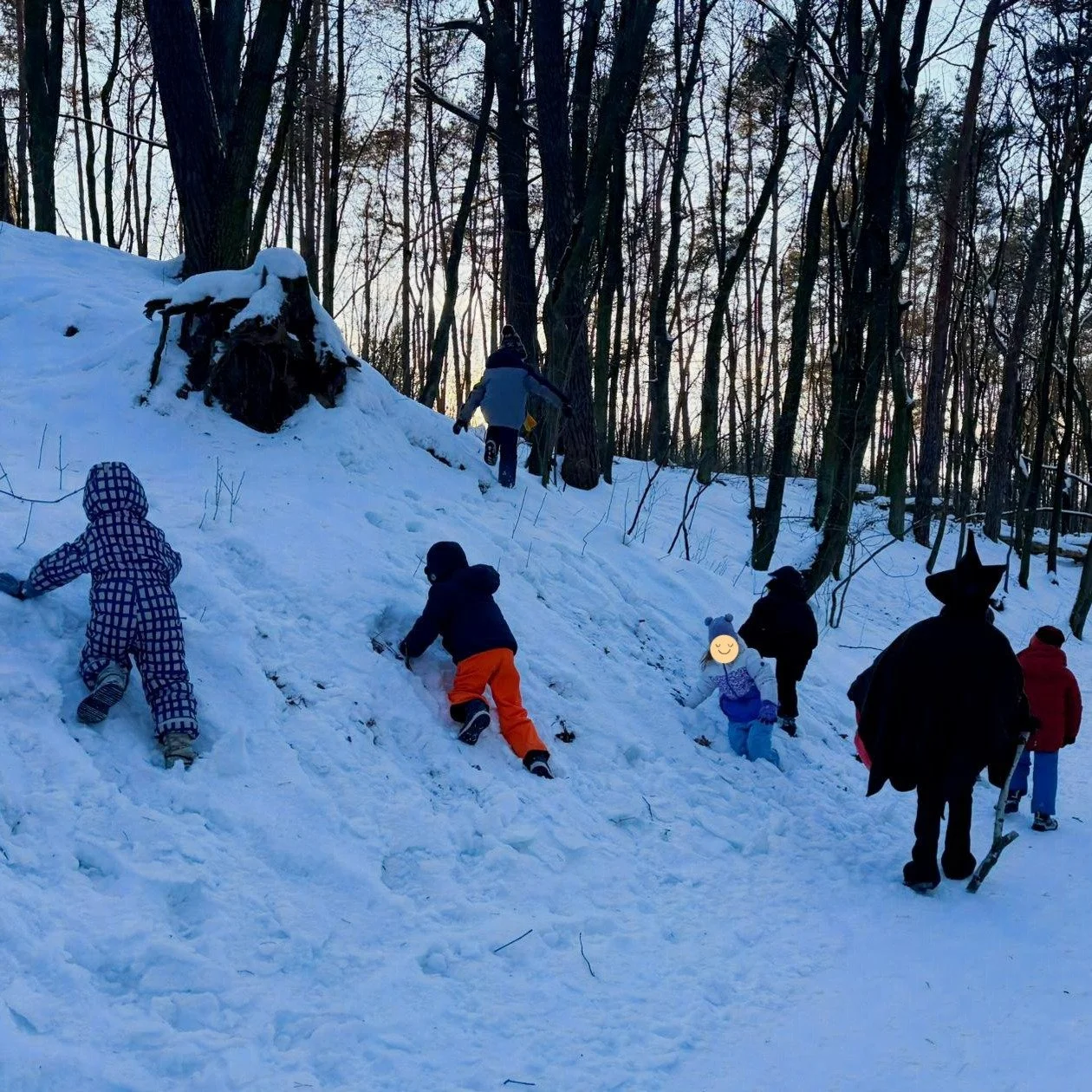 Woodland Party Trail