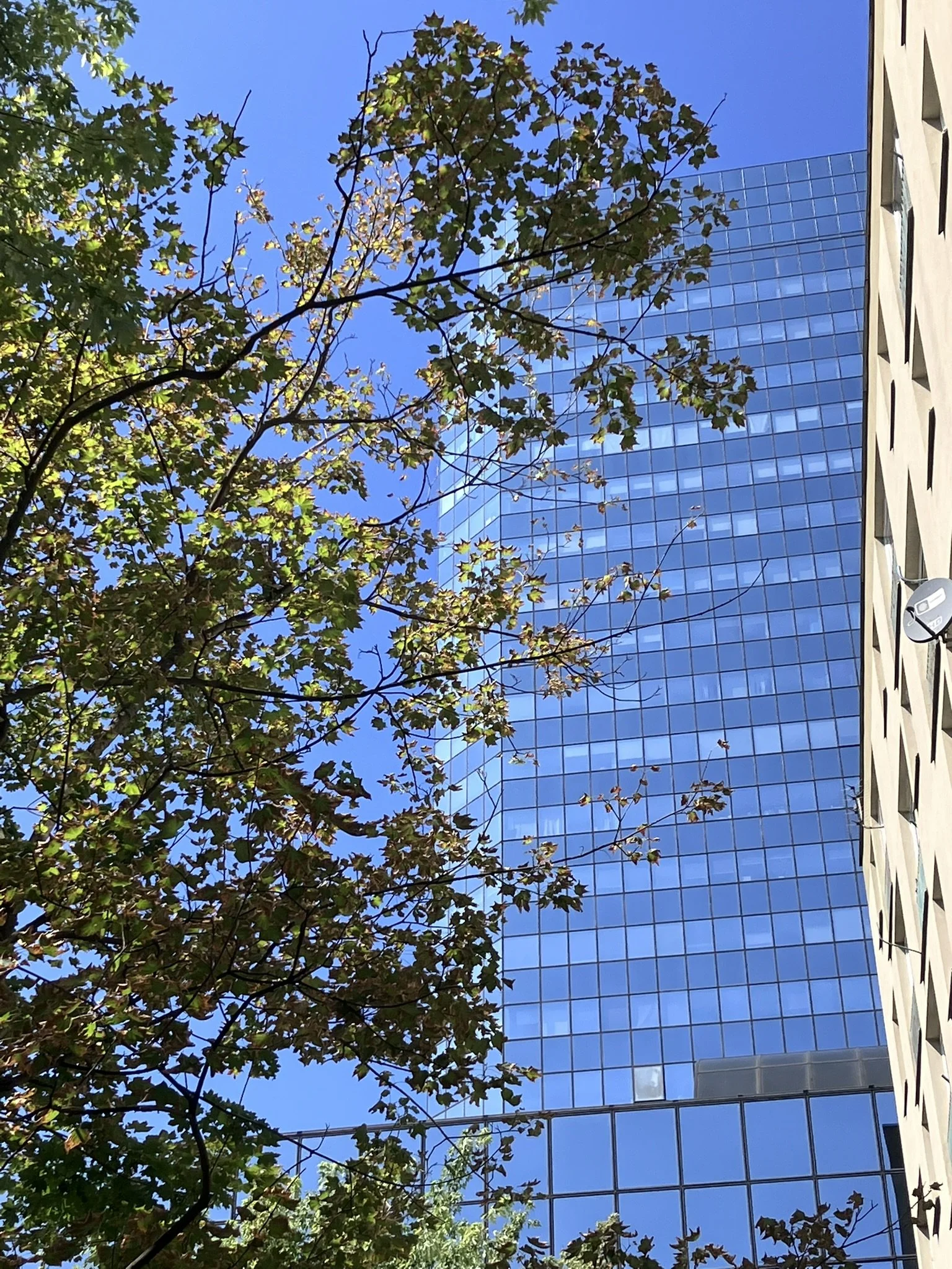 IMG_7634.JPEG