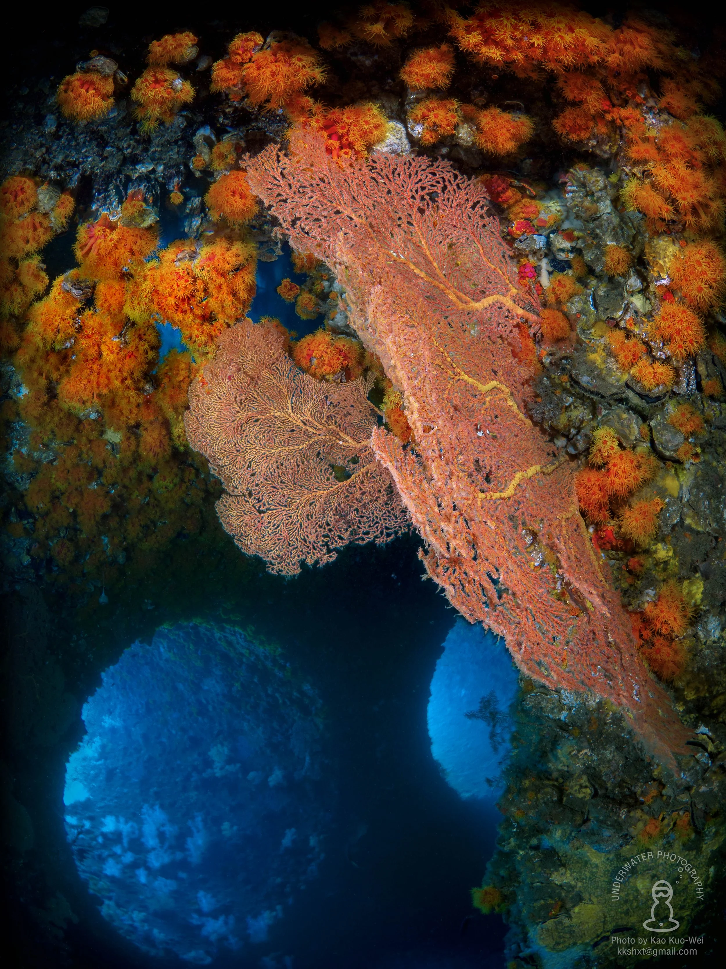 2022 台灣海洋保育署「你眼中的海」海洋保育創意攝影競賽