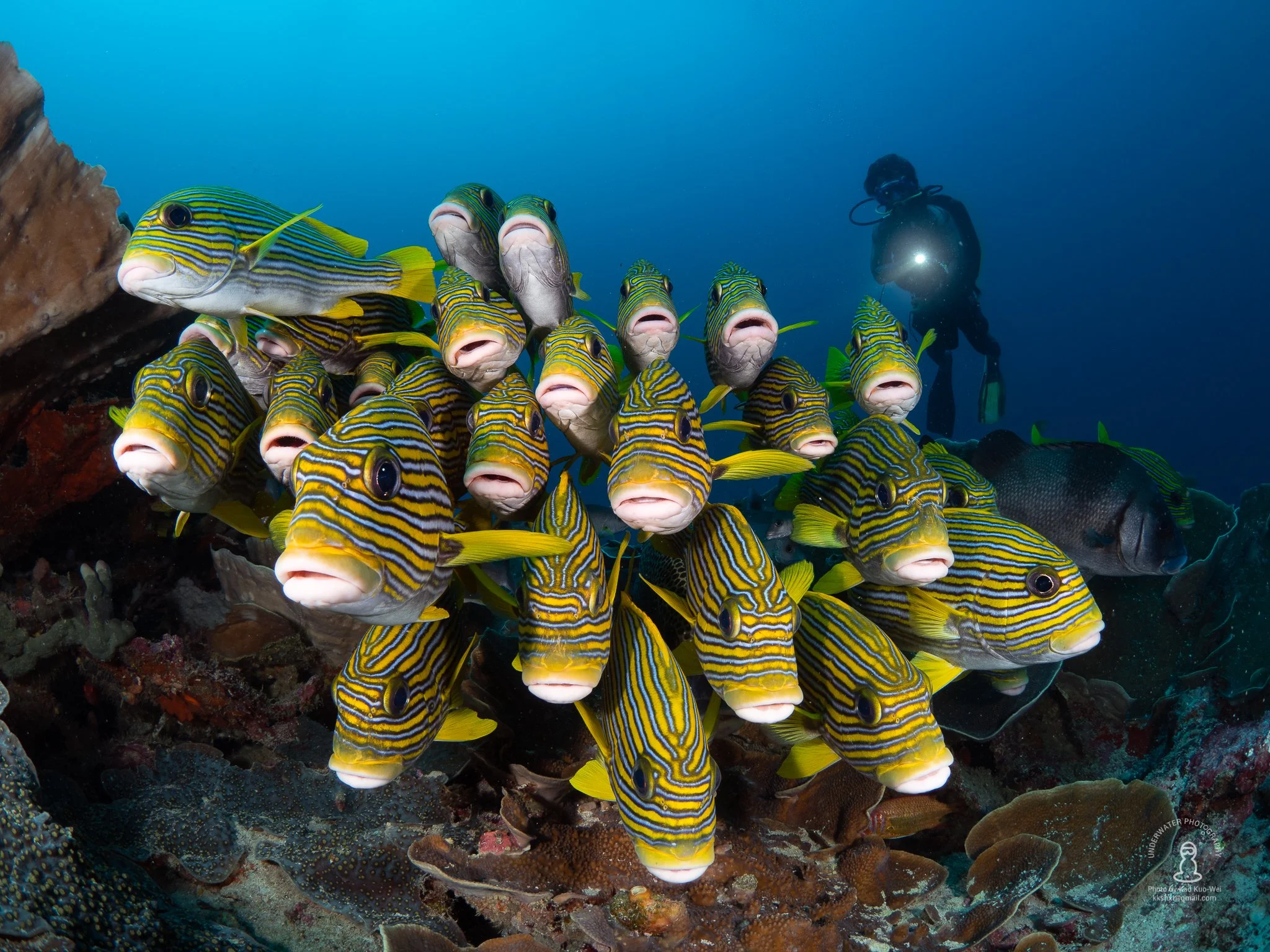 Ocean Art 2019 新人廣角組第一名｜高國維博士首度國際得獎