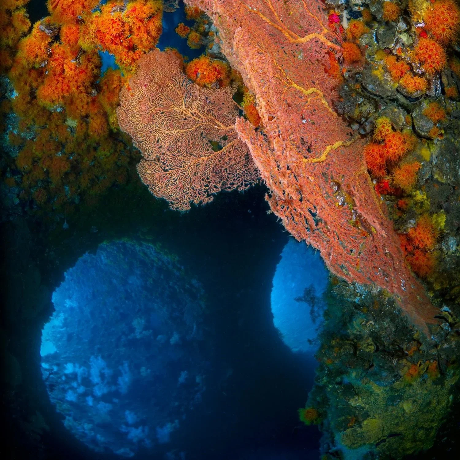 The Illusory Reflection - Museum Grade Canvas (Ready to Hang)