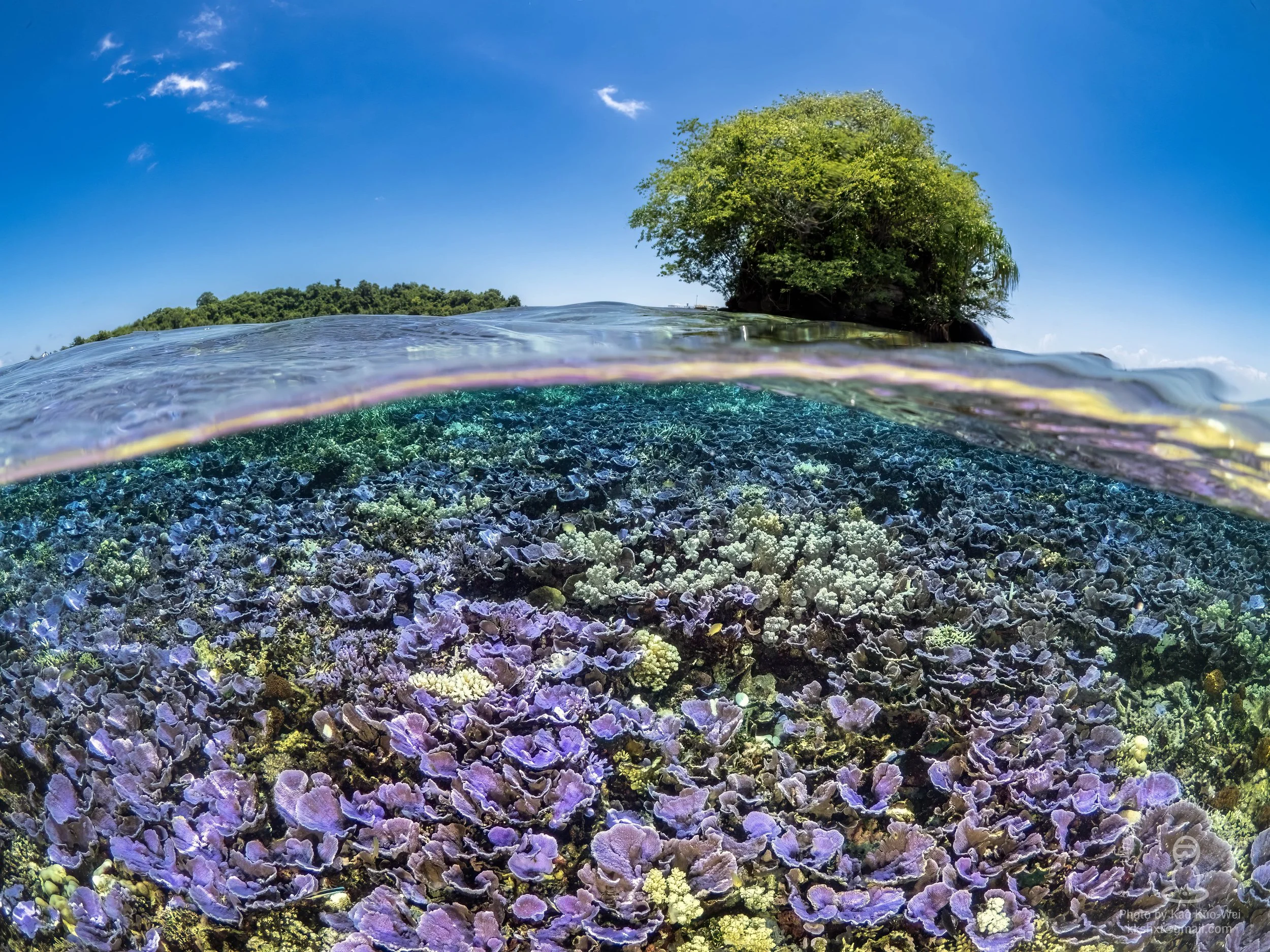 Originally, I intended to capture a classic, beautiful split-shot. However, I noticed the lavender corals were beginning to show signs of bleaching. I decided to shift my focus, incorporating this environmental change to add a documentary narrative t
