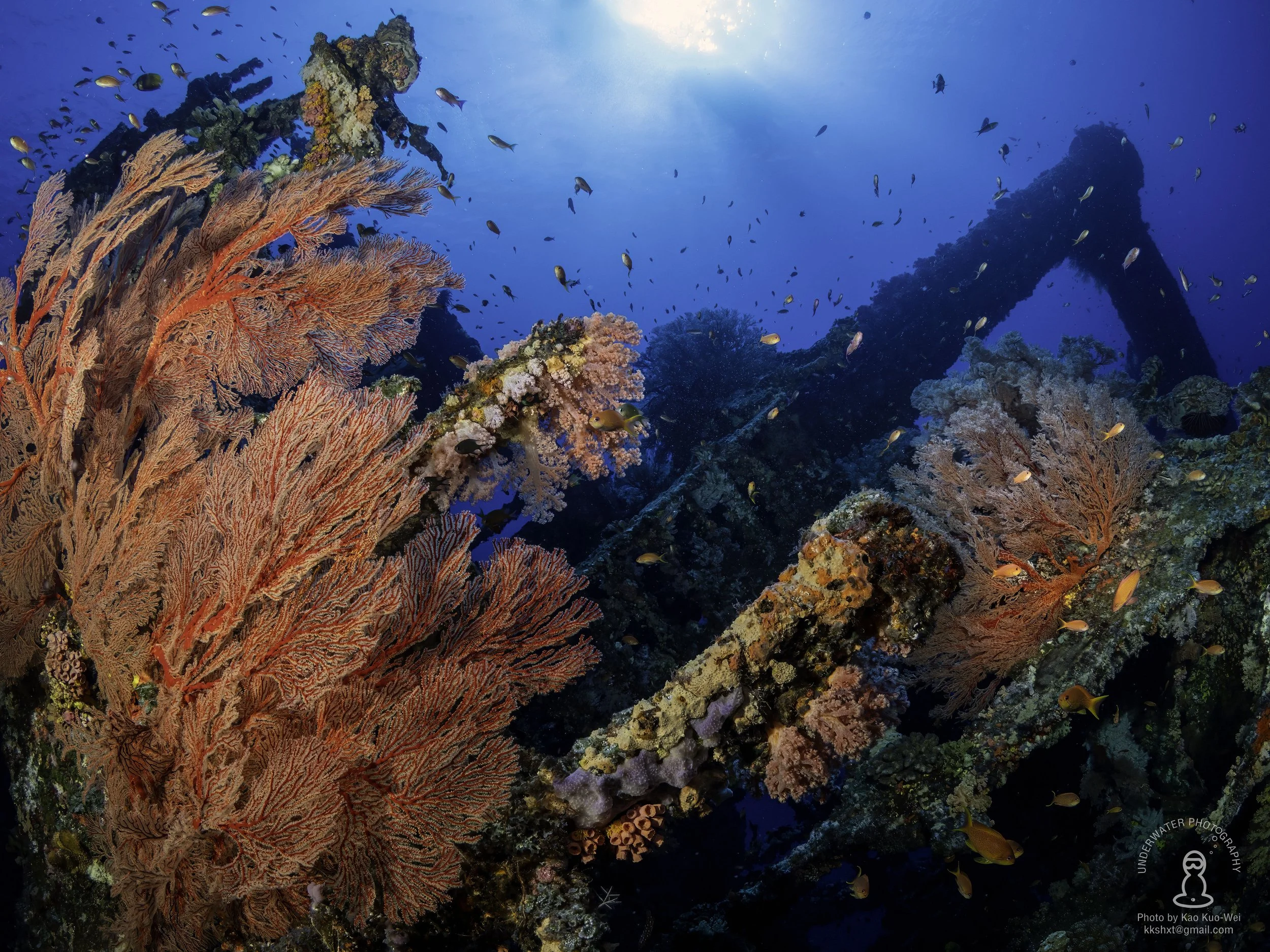 八代灣沈船 Ｘ型構圖 雙海扇.jpg