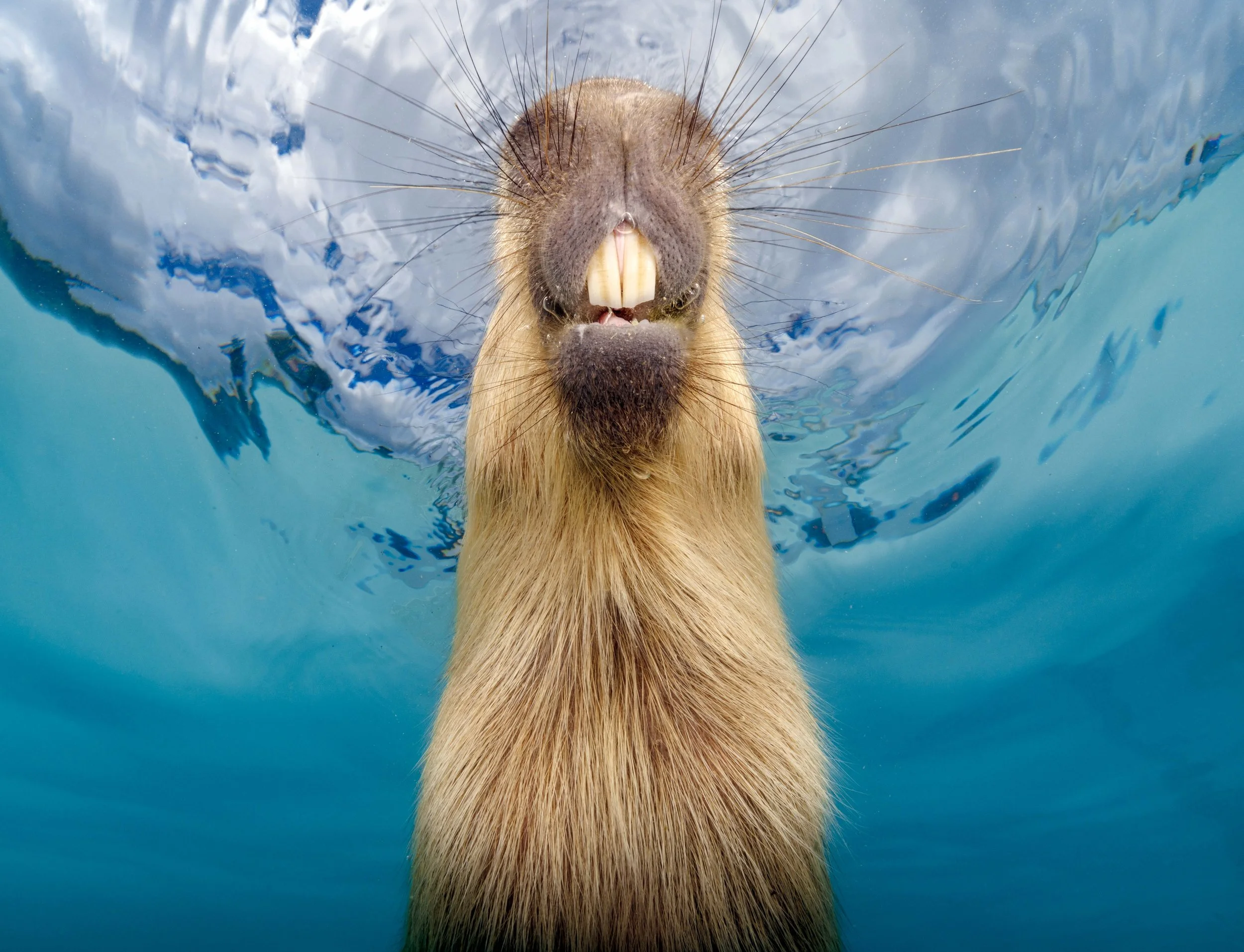 Separated by a Thread