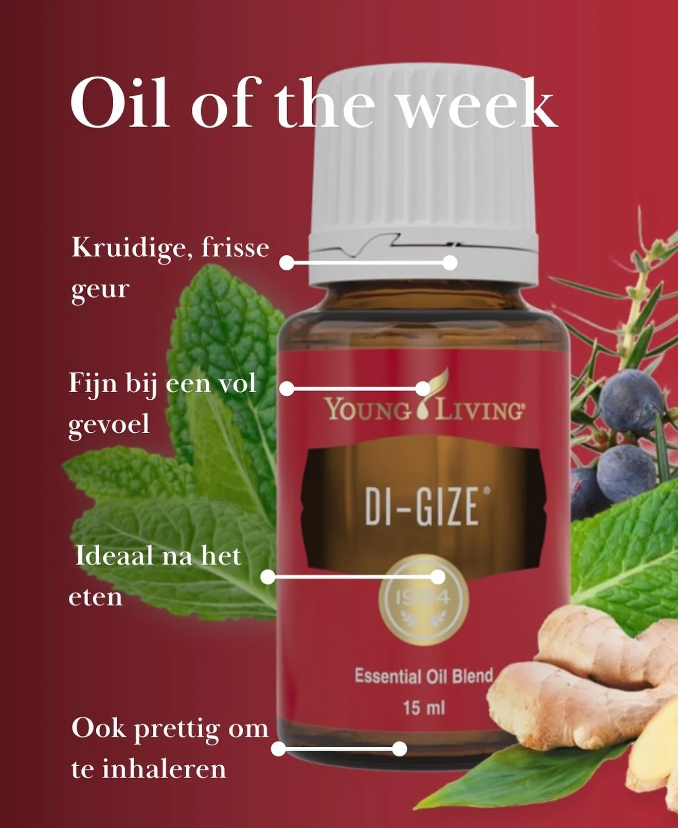 🌿 Oil of the week: Di-Gize
Deze week staat Di-Gize in de spotlight: D&eacute; olie voor je spijsvertering, of je nu thuis bent of op reis. Gebruik op de buik of inhaleer bij een vol gevoel.

🎄✨ Na de feestdagen&hellip; voelt je buik zich ook &ldquo