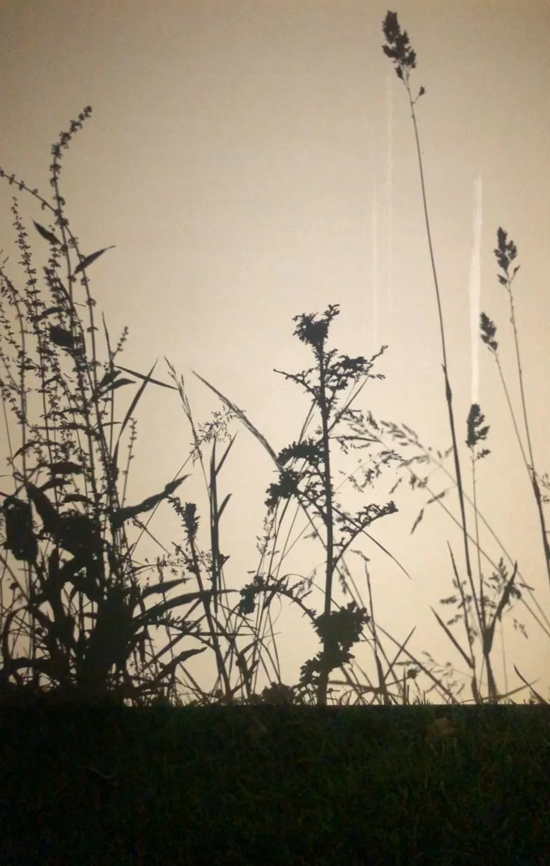 Still 2025-09-04 181953_1.1.1.jpg