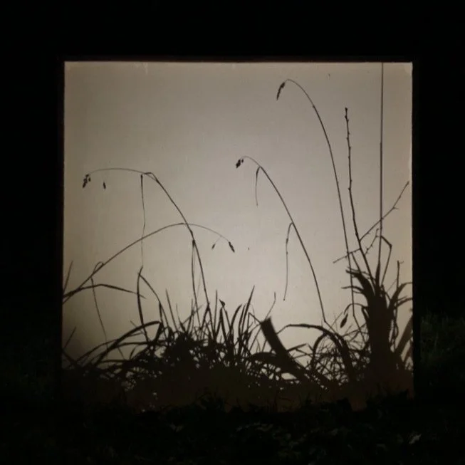 8 LONGFORD LIGHTS.jpg