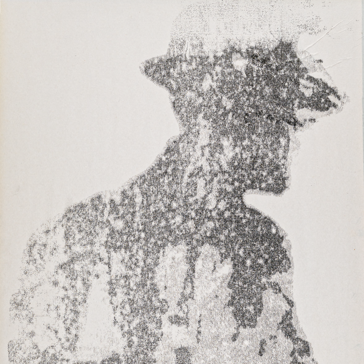 Staring at Strangers