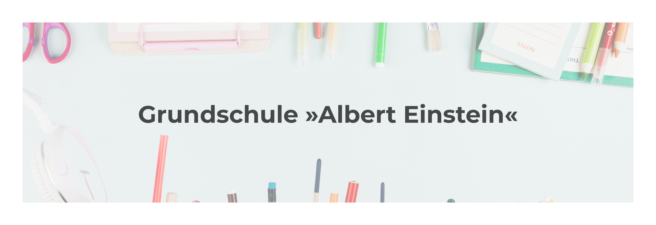 albert einstein.png