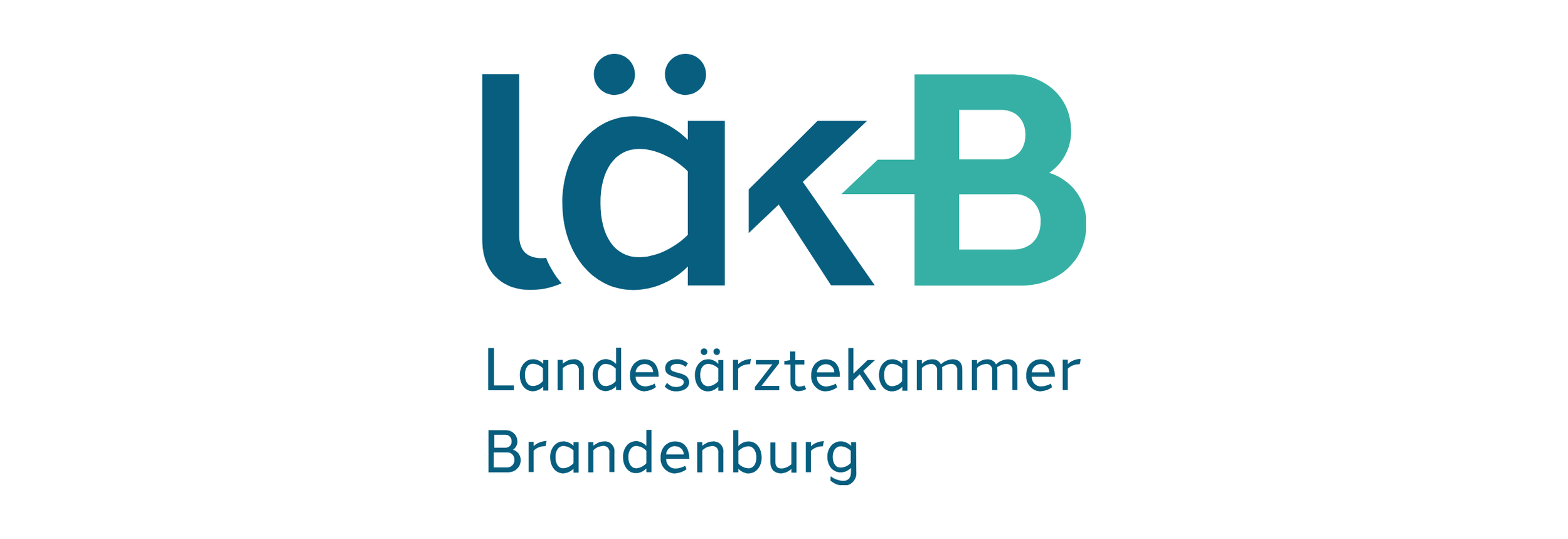 landesärztekammer.png
