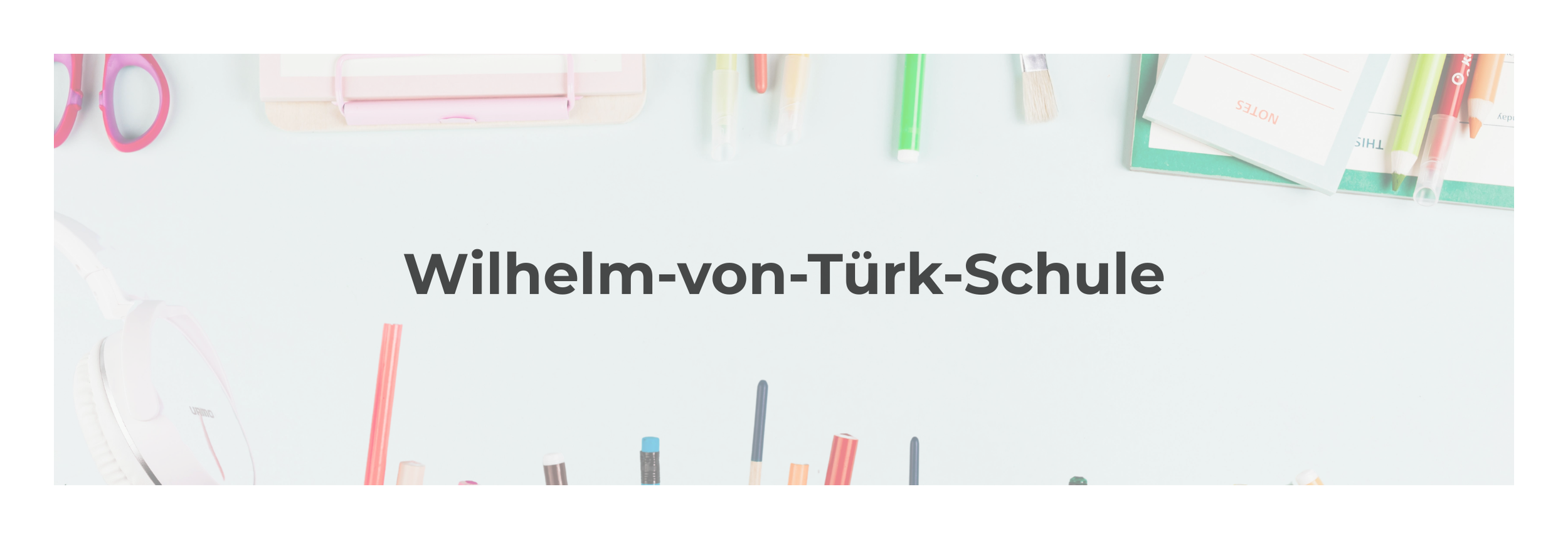 türk.png