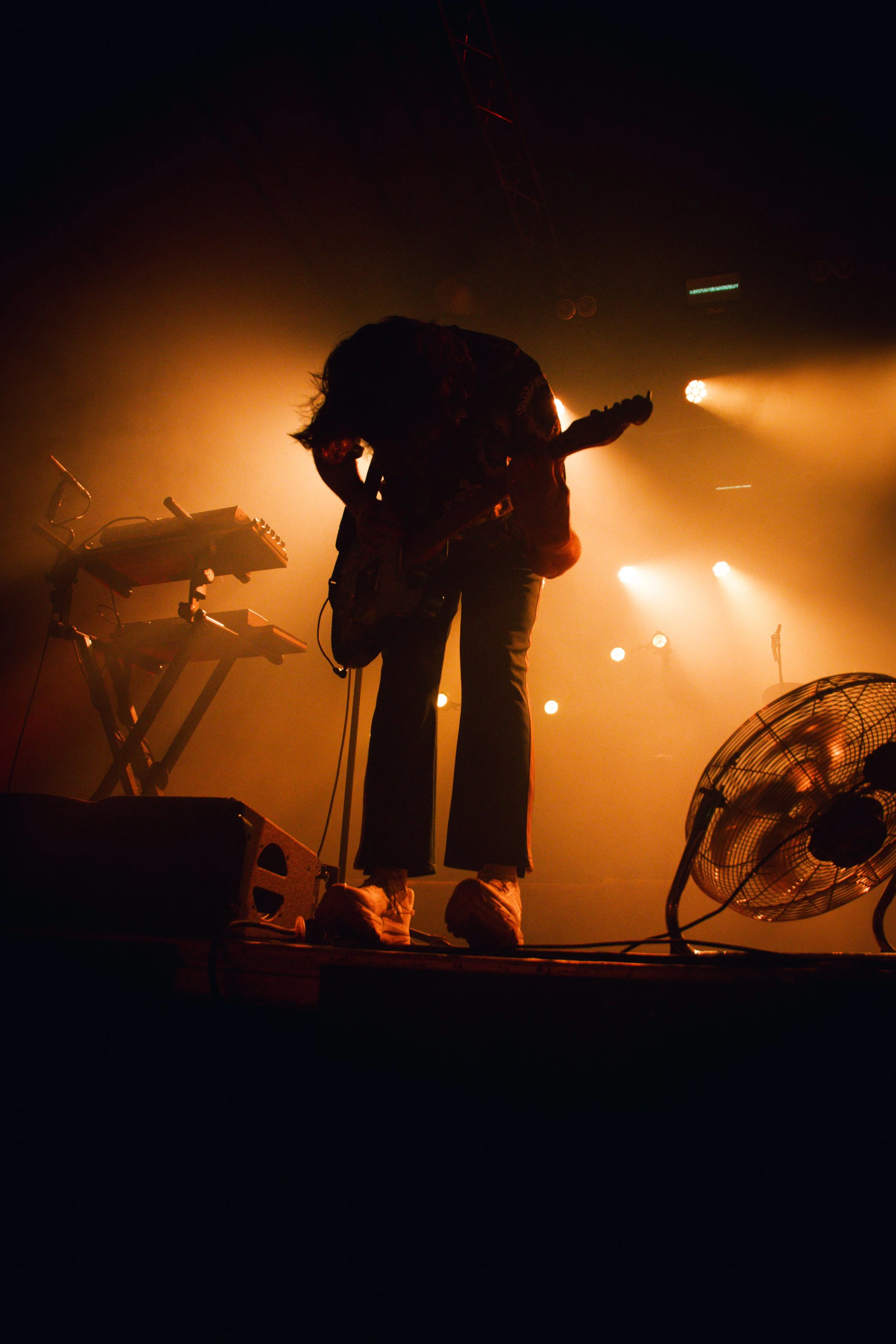 The Wombats