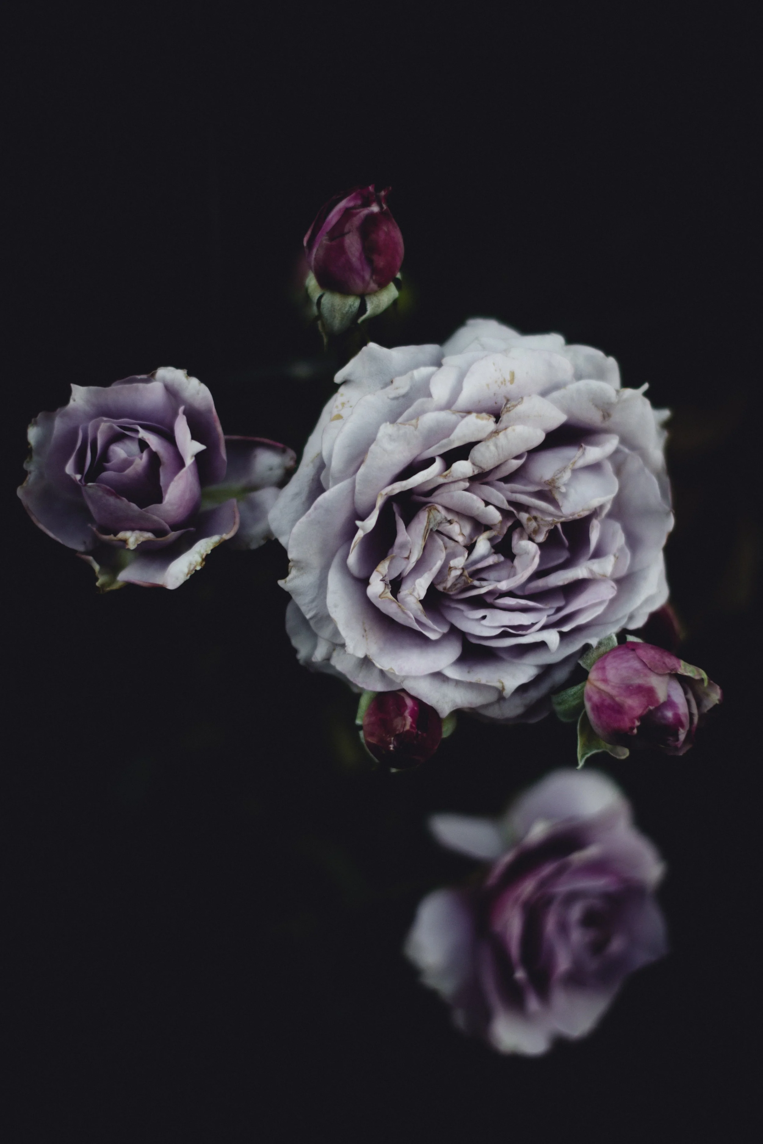 Blumen-68.jpg