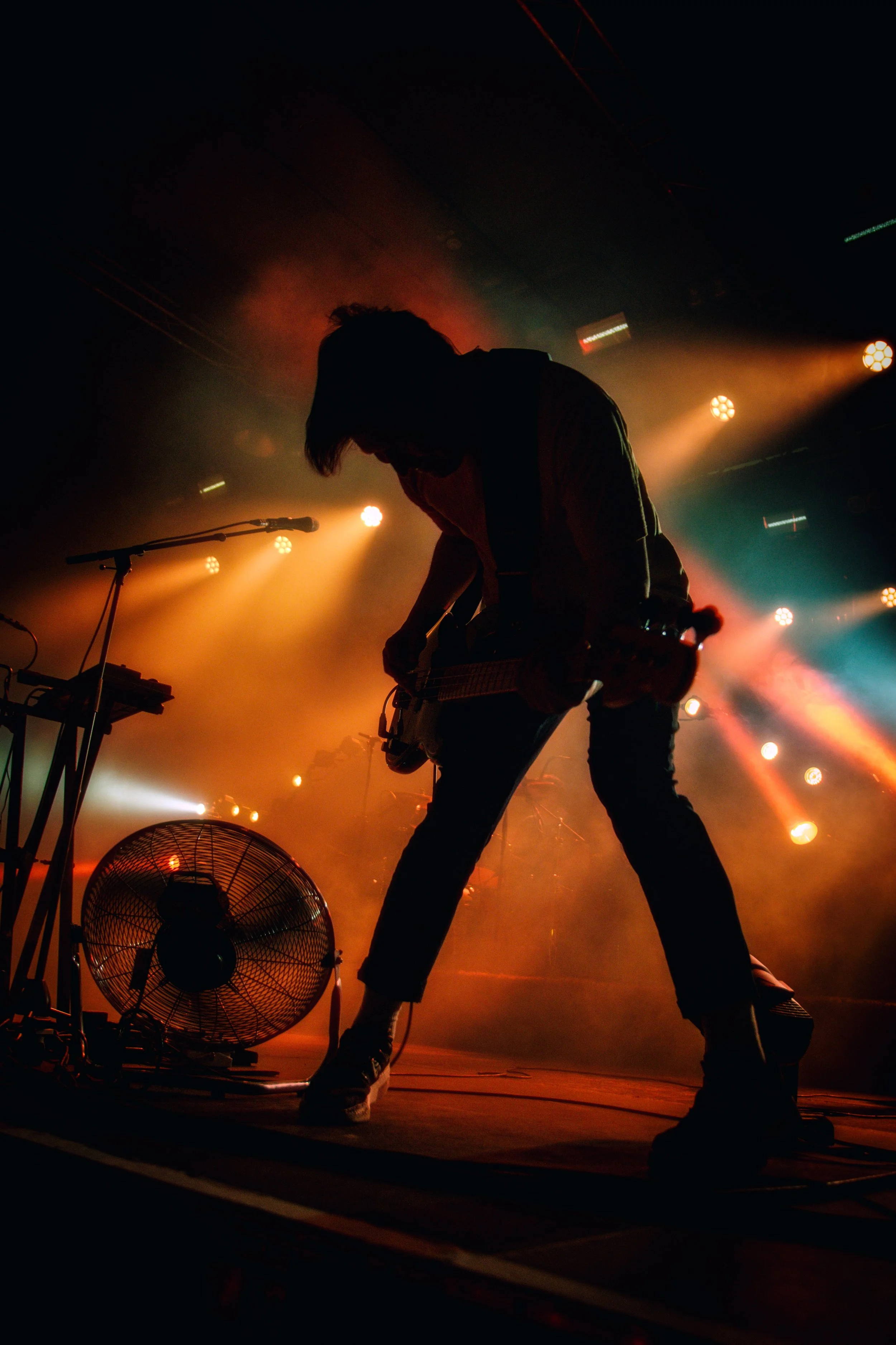 The Wombats
