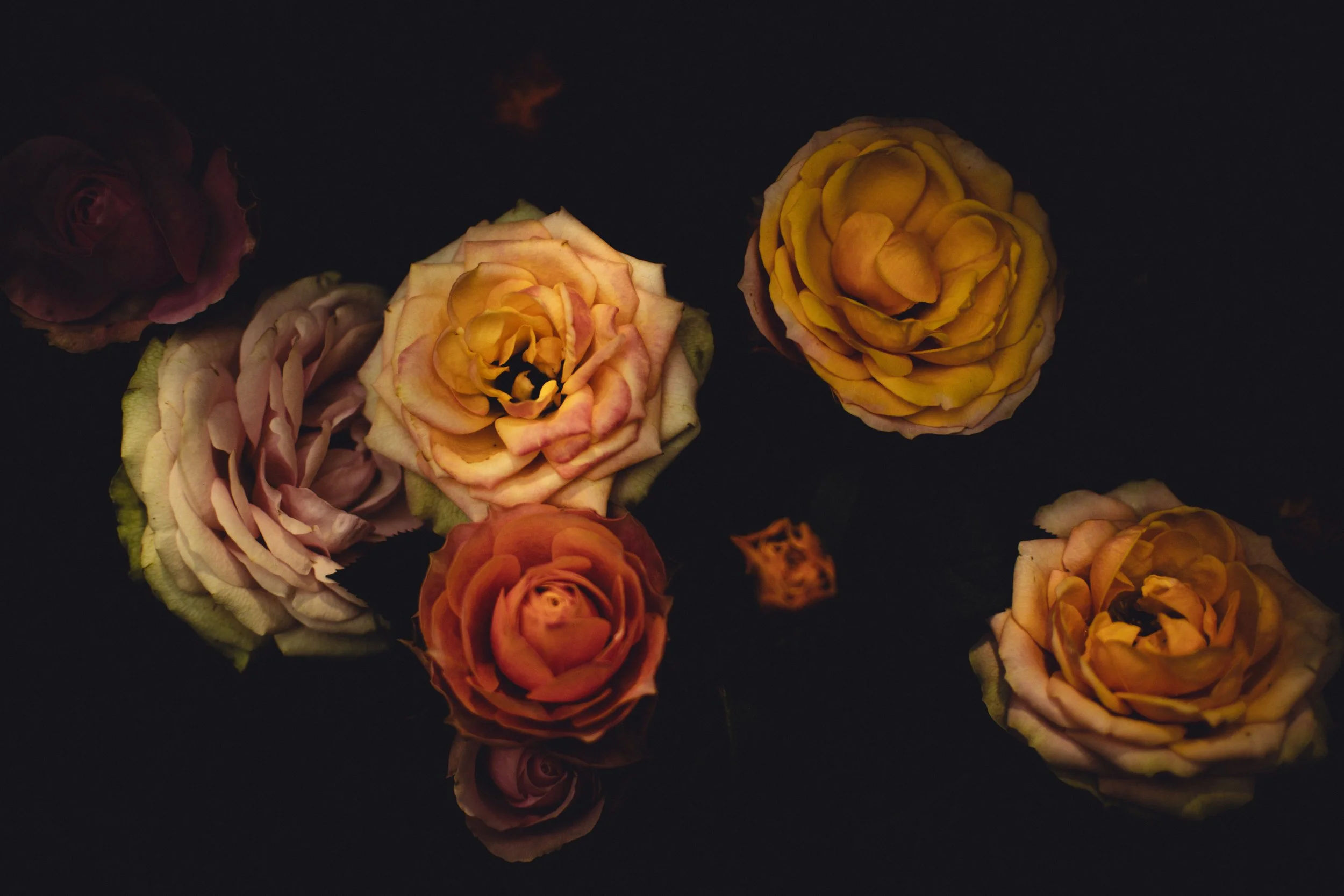 Blumen-53.jpg