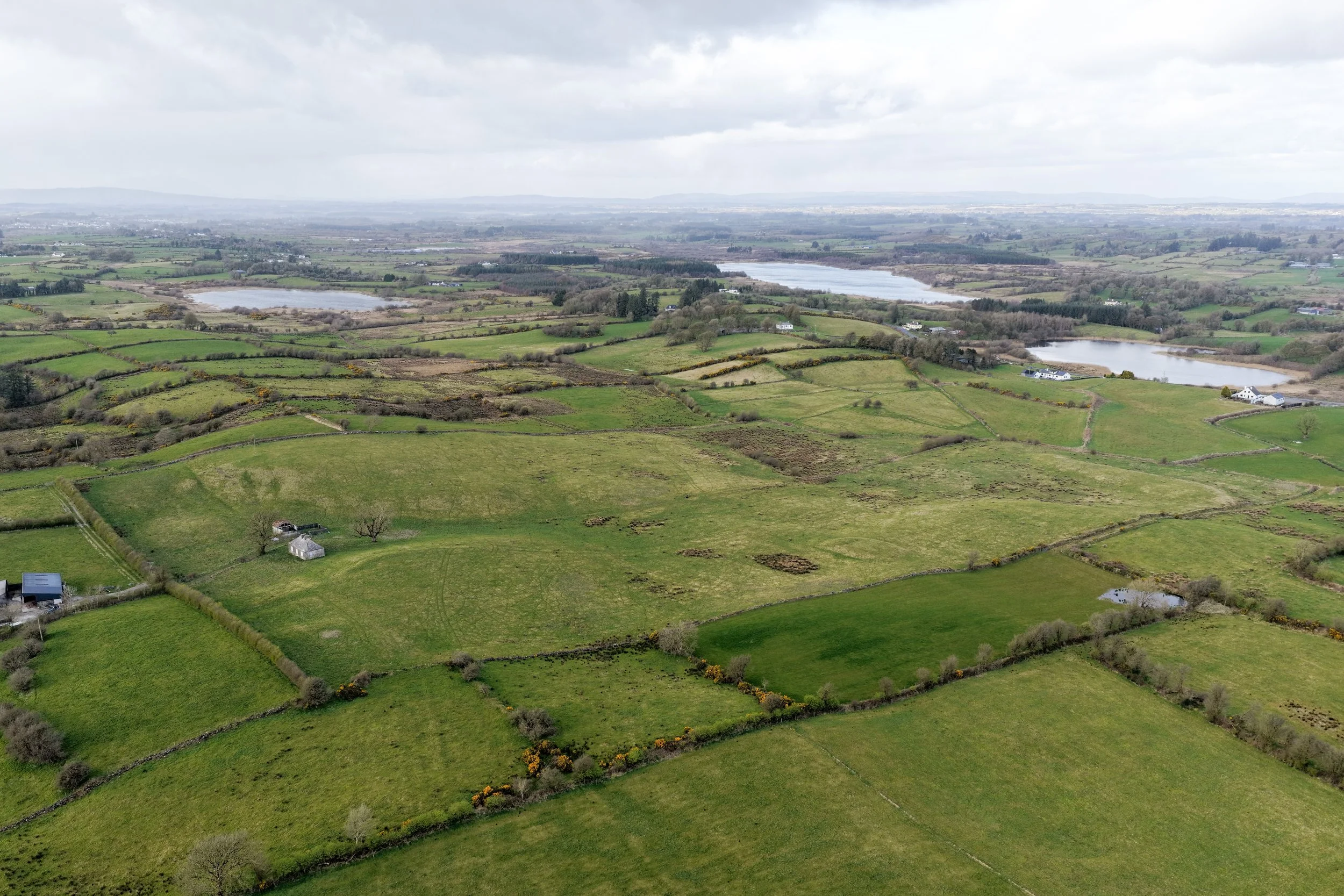 DJI_20260328155006_0242_D.JPG