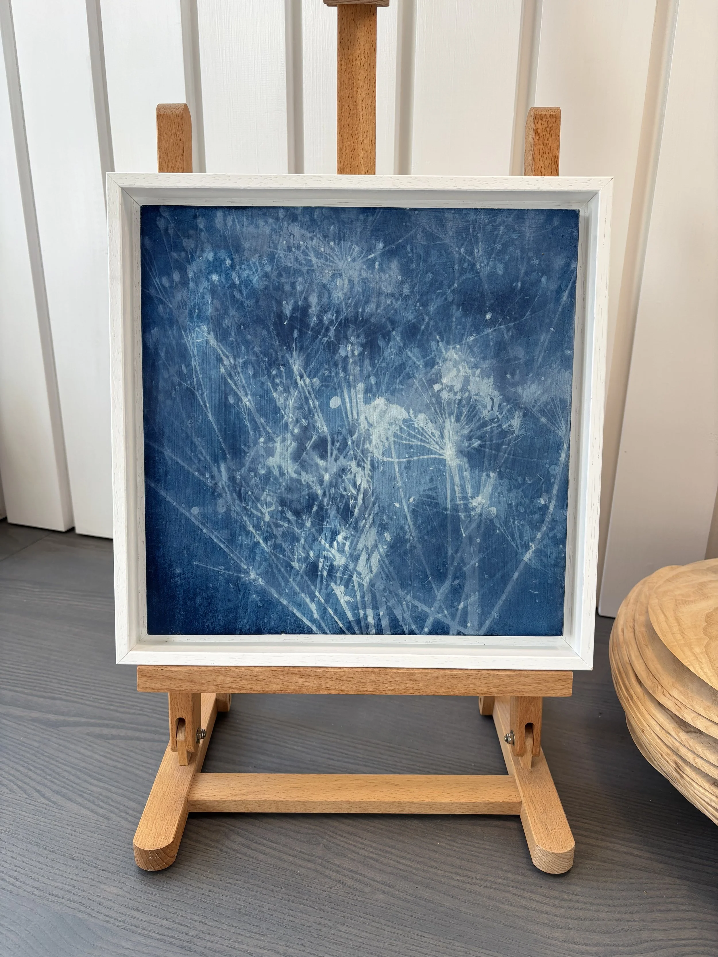 Cyanotype IV