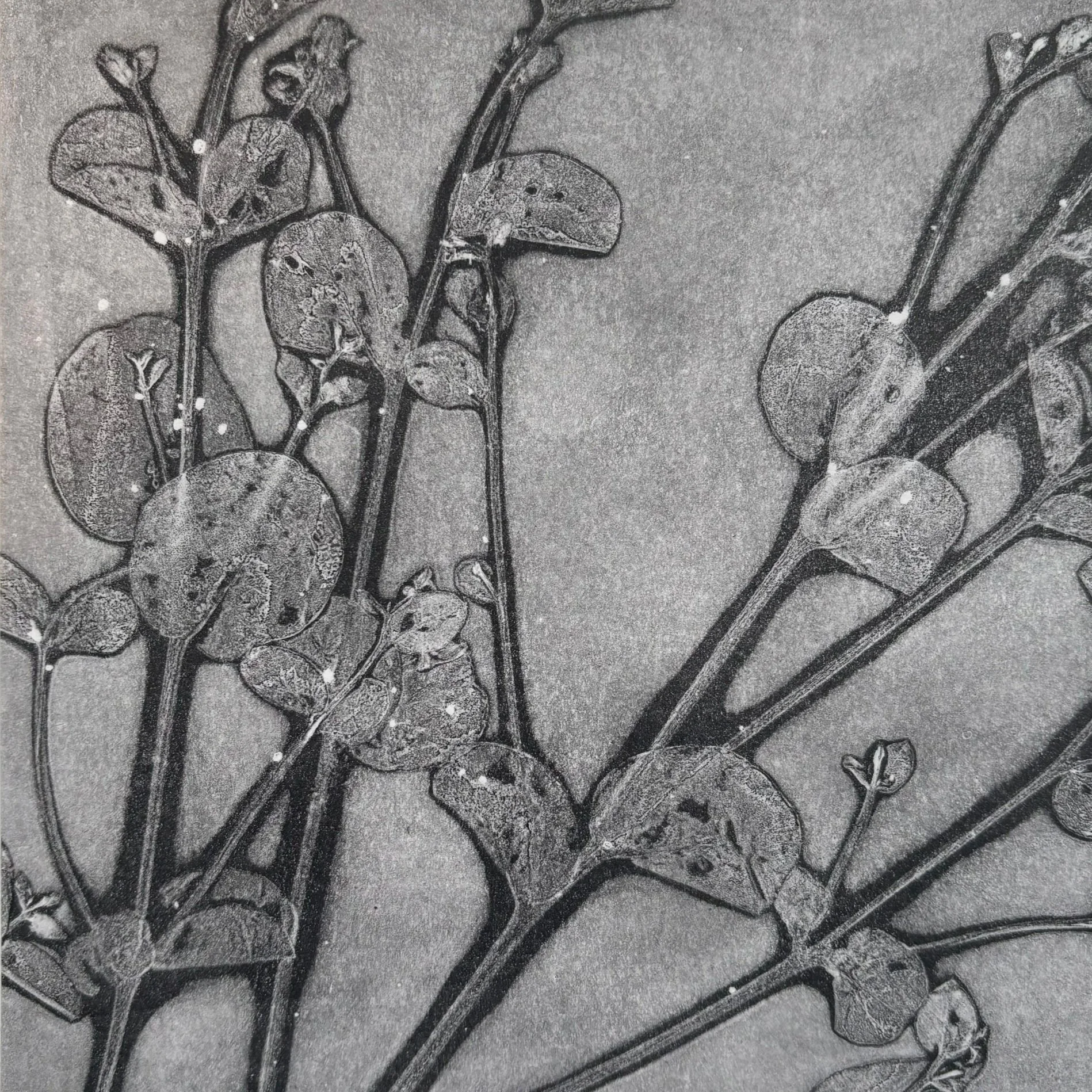 Printmaking - view gallery