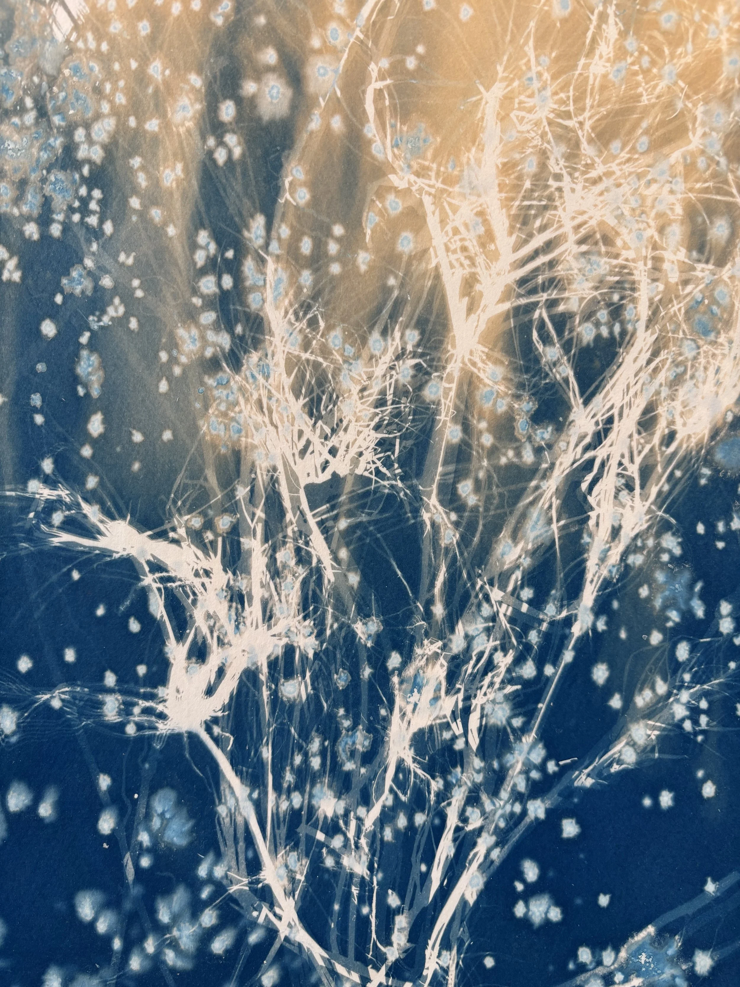 Printmaking - view gallery