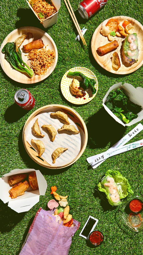 Assorted Asian-style food dishes including dumplings, spring rolls, noodles, and sushi served on plates and containers on grass, with cans of soda and chopsticks.