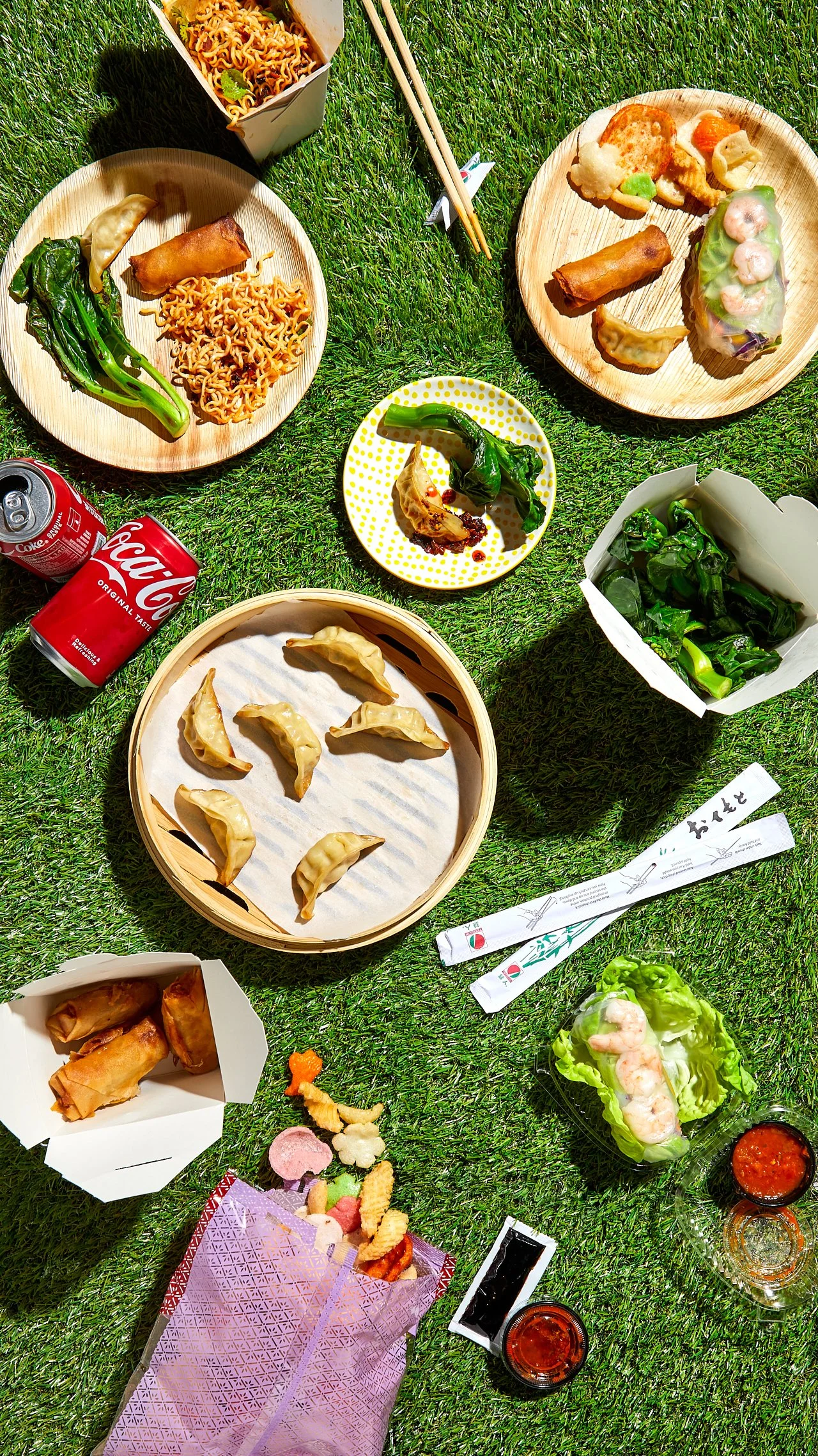 Variety of Asian dishes including gyoza dumplings, spring rolls, noodles, and vegetable dishes on patterned plates and containers, with two cans of Coca-Cola, small bowls of dipping sauces, and chopsticks on a grassy surface.