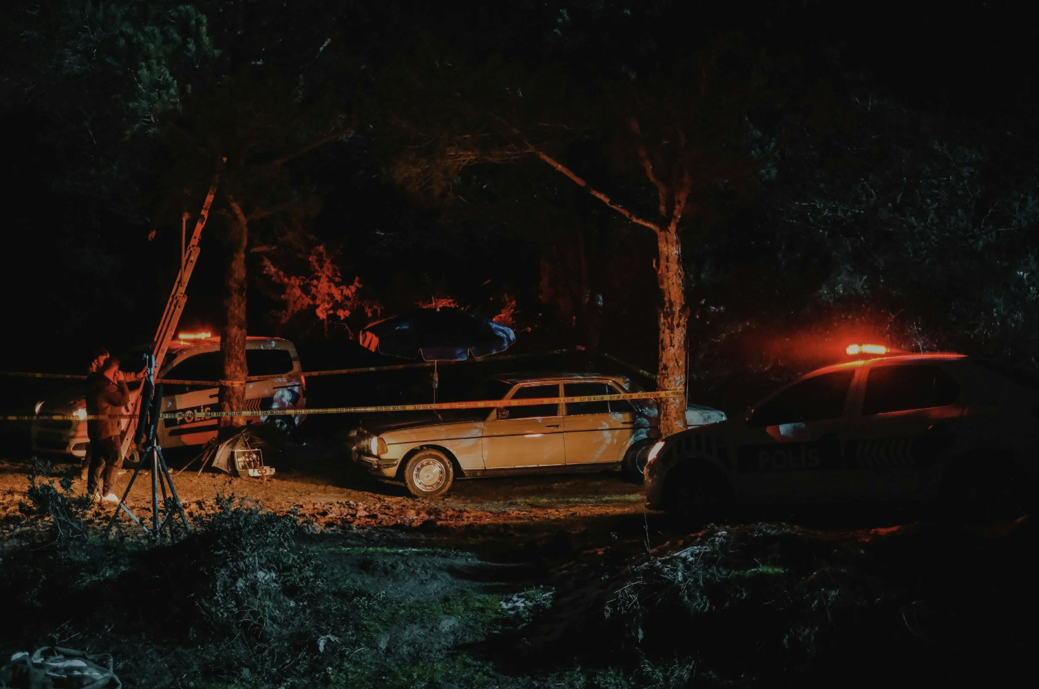 Who Killed Darcy Dozen? (Feature, 2026)