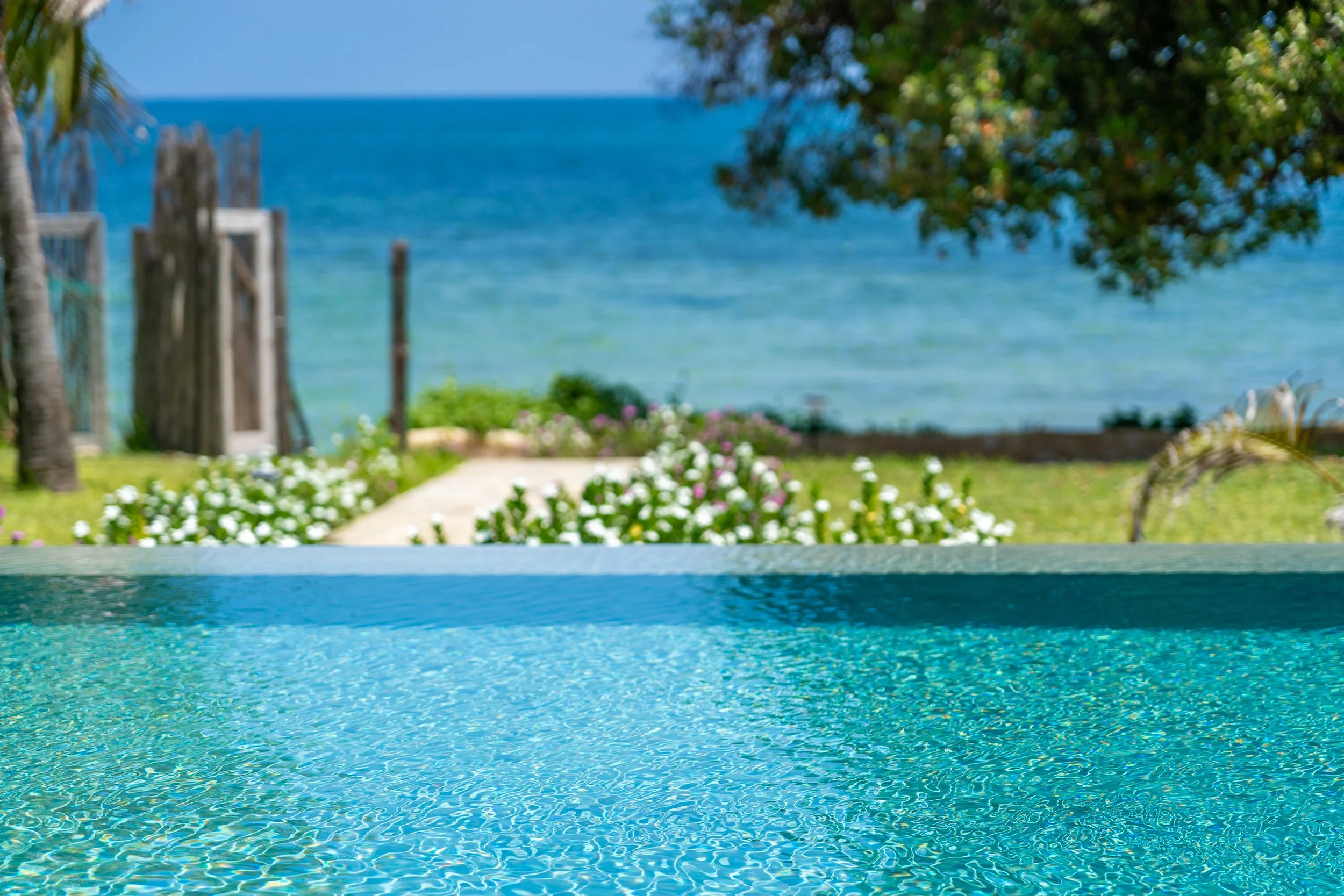 0241-Casa Blanca Baharini Nov 2025-_DSC9787.jpg