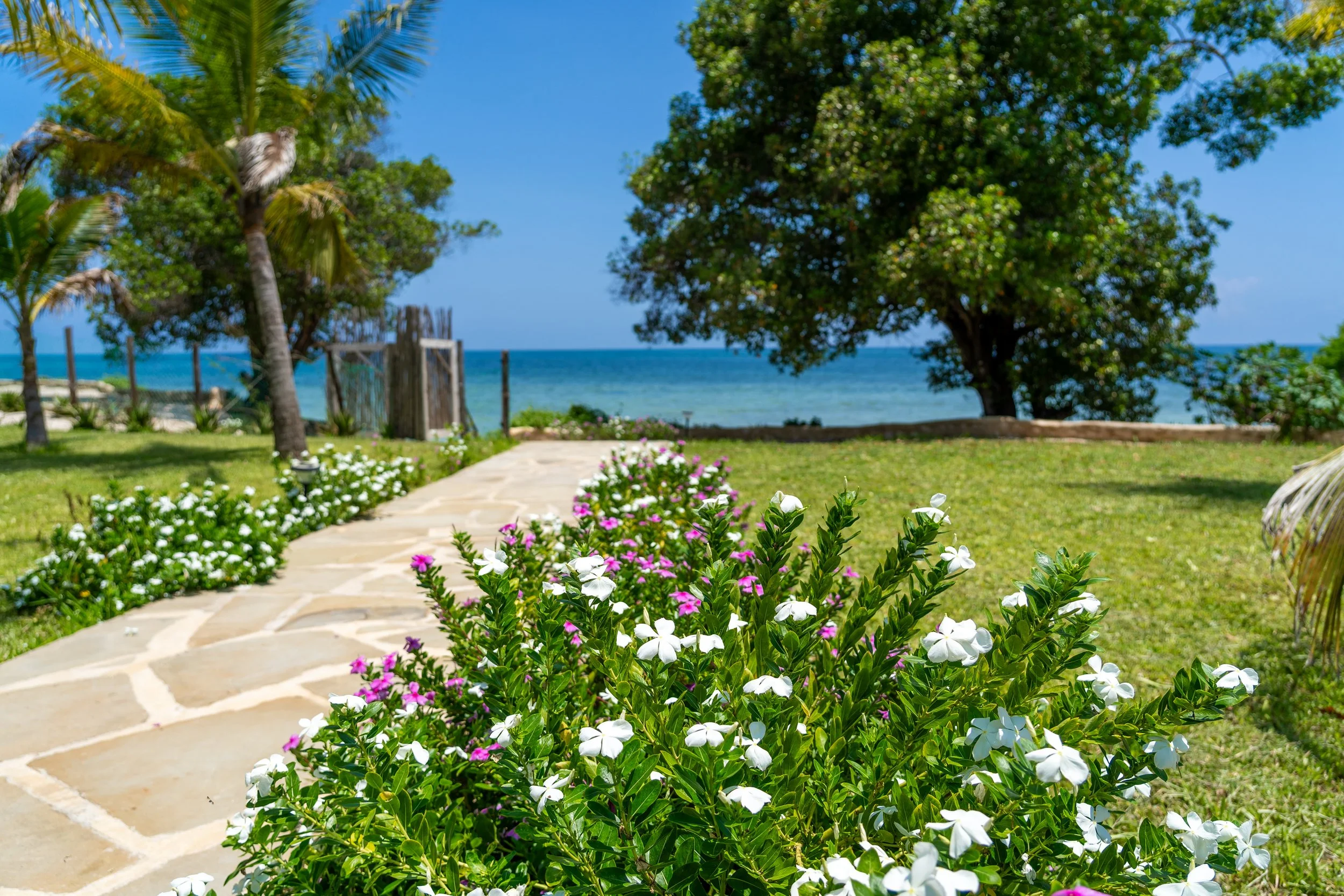 0200-Casa Blanca Baharini Nov 2025-_DSC9695.jpg