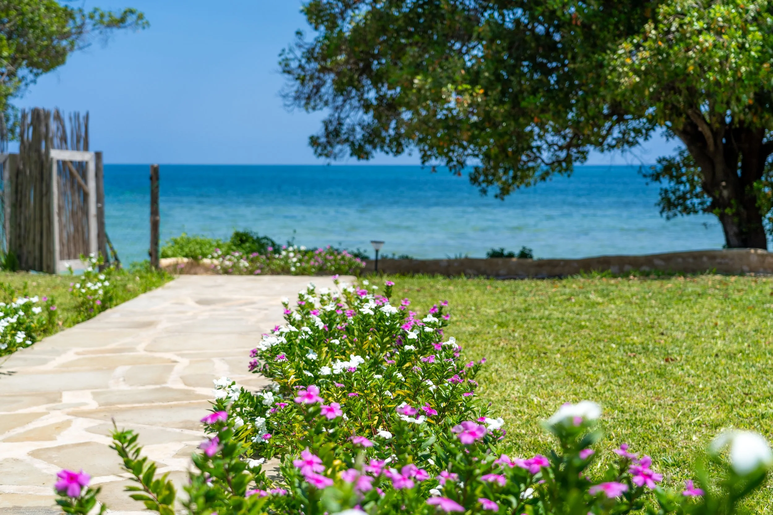 0201-Casa Blanca Baharini Nov 2025-_DSC9699.jpg