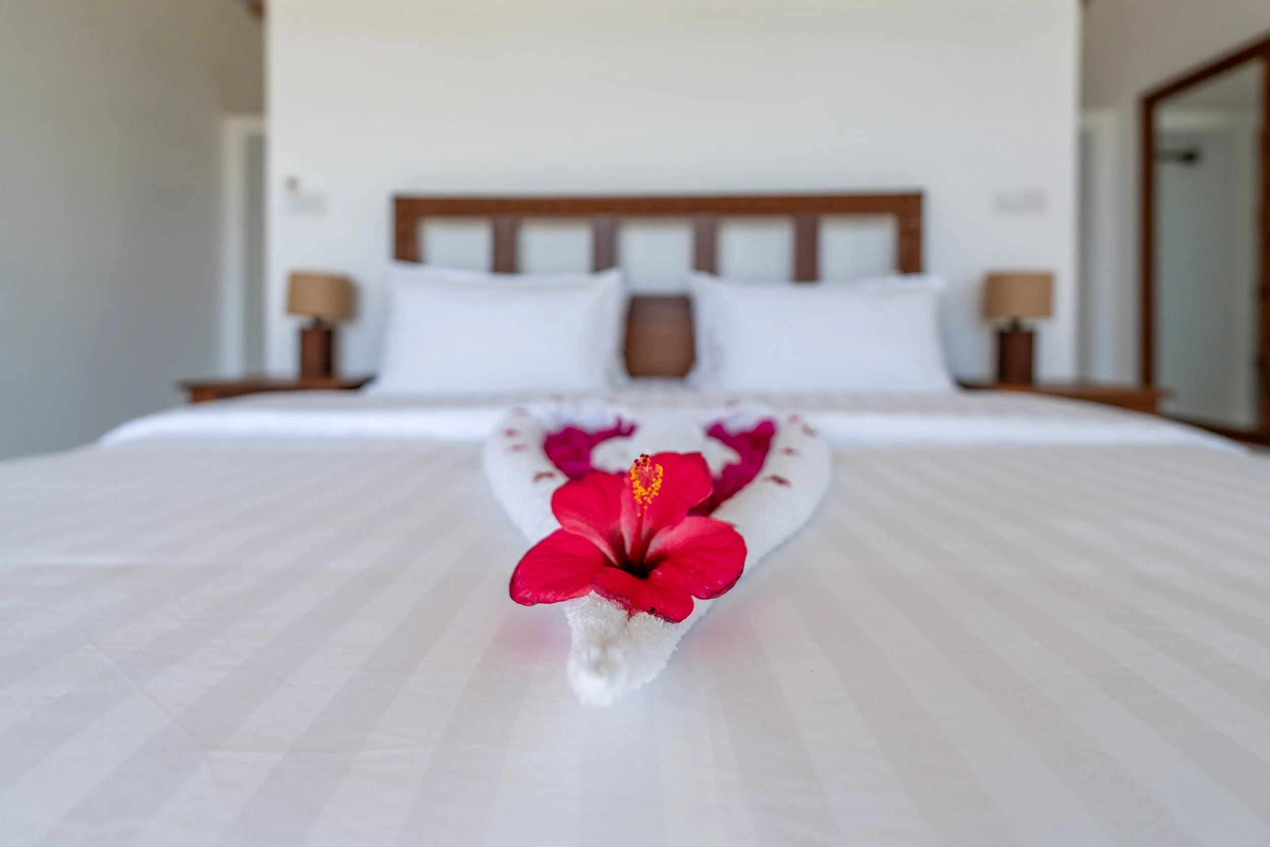 0167-Casa Blanca Baharini Nov 2025-_A7R6102.jpg