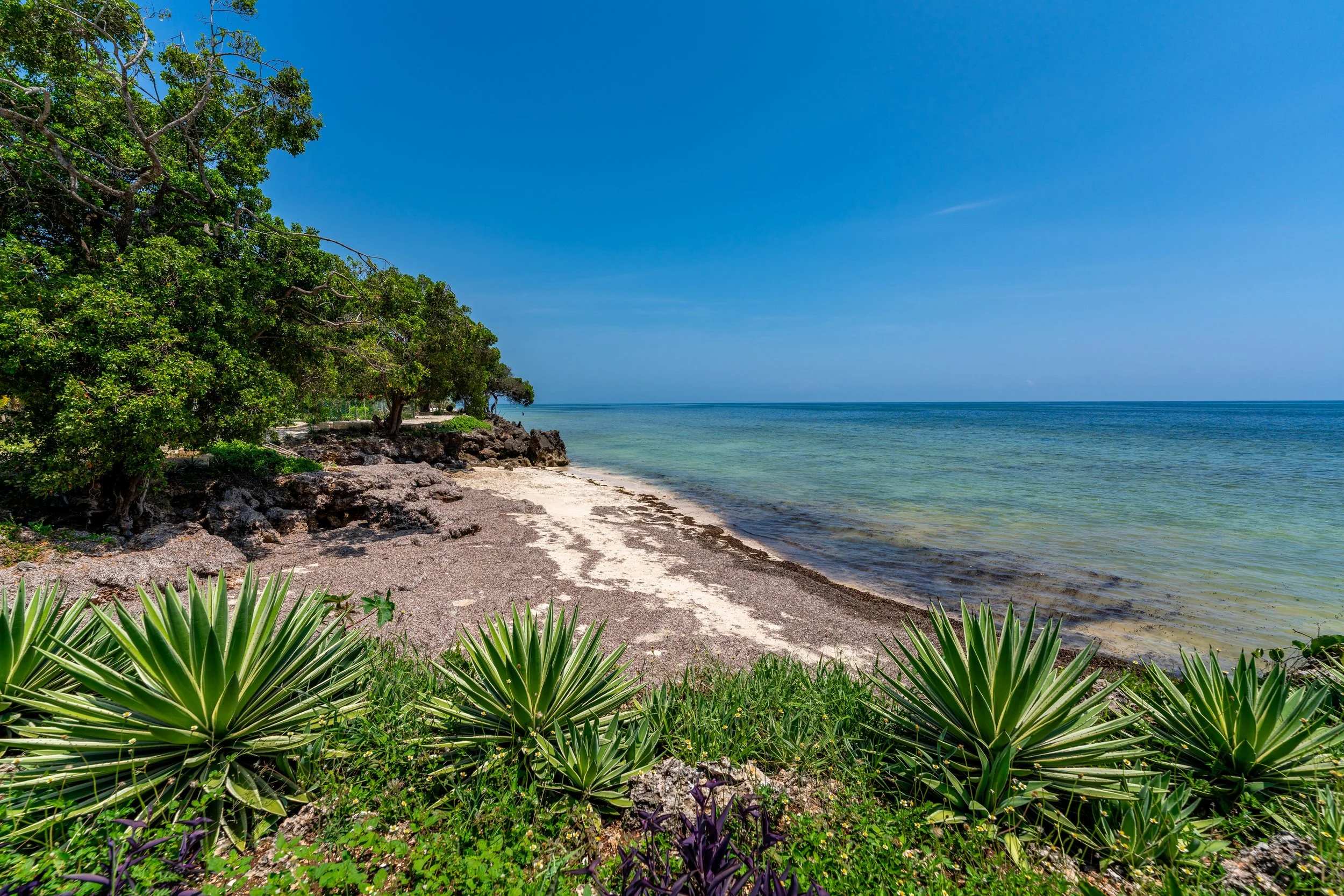 0065-Casa Blanca Baharini Nov 2025-_A7R5637.jpg