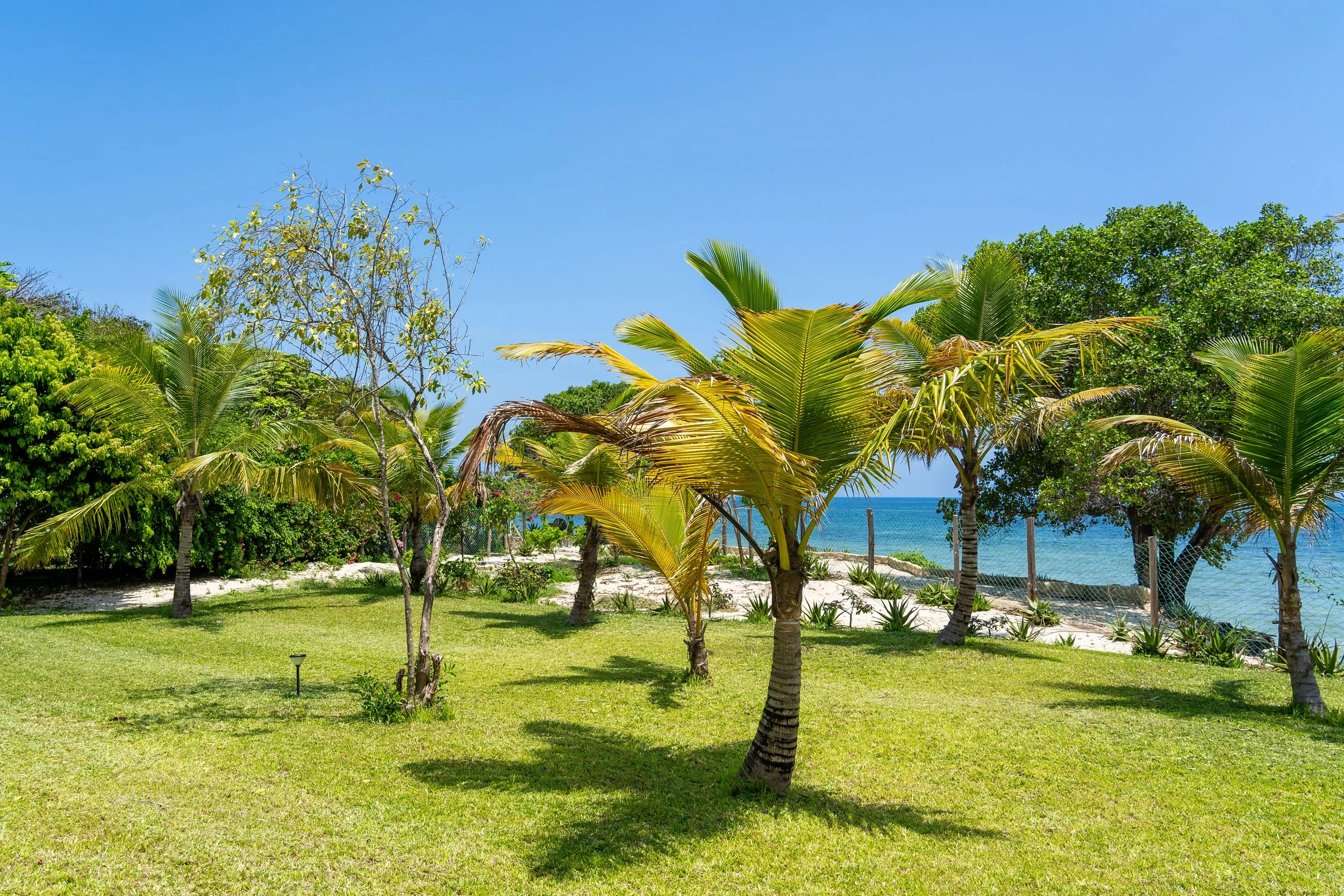 0205-Casa Blanca Baharini Nov 2025-_DSC9716.jpg