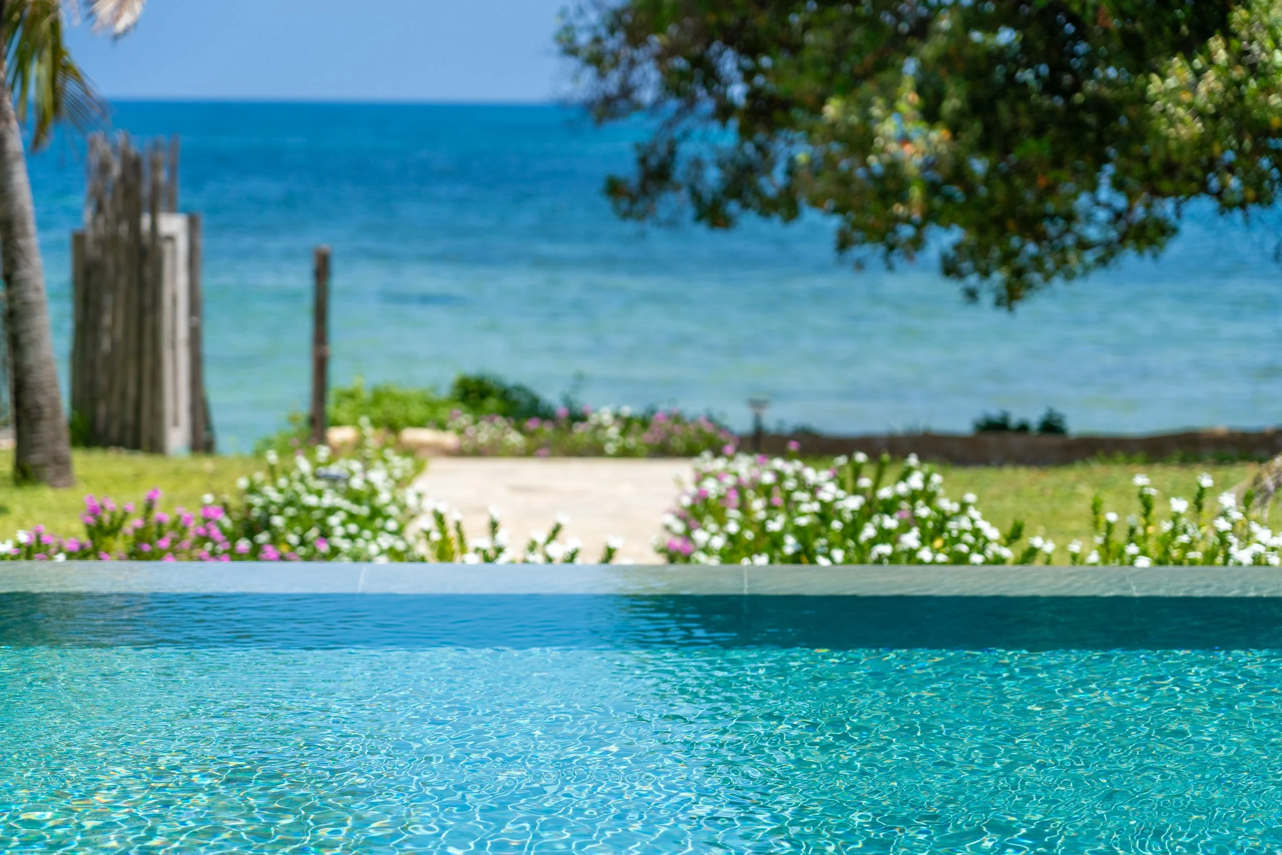 0242-Casa Blanca Baharini Nov 2025-_DSC9788.jpg