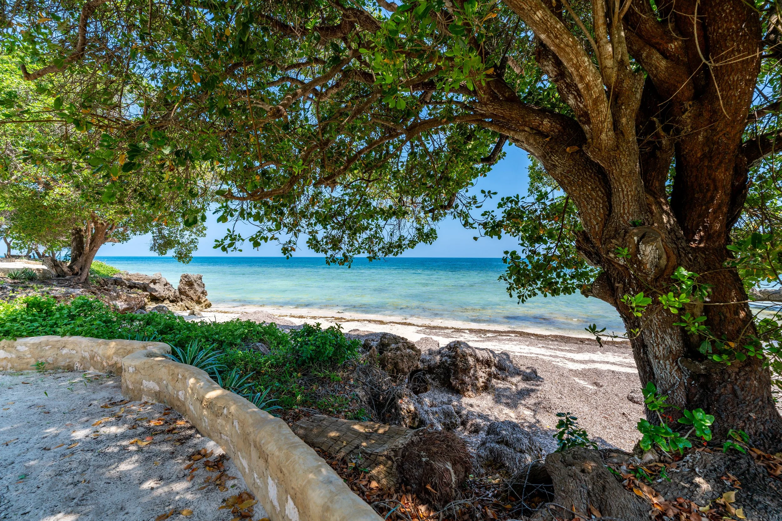 0075-Casa Blanca Baharini Nov 2025-_A7R5673.jpg