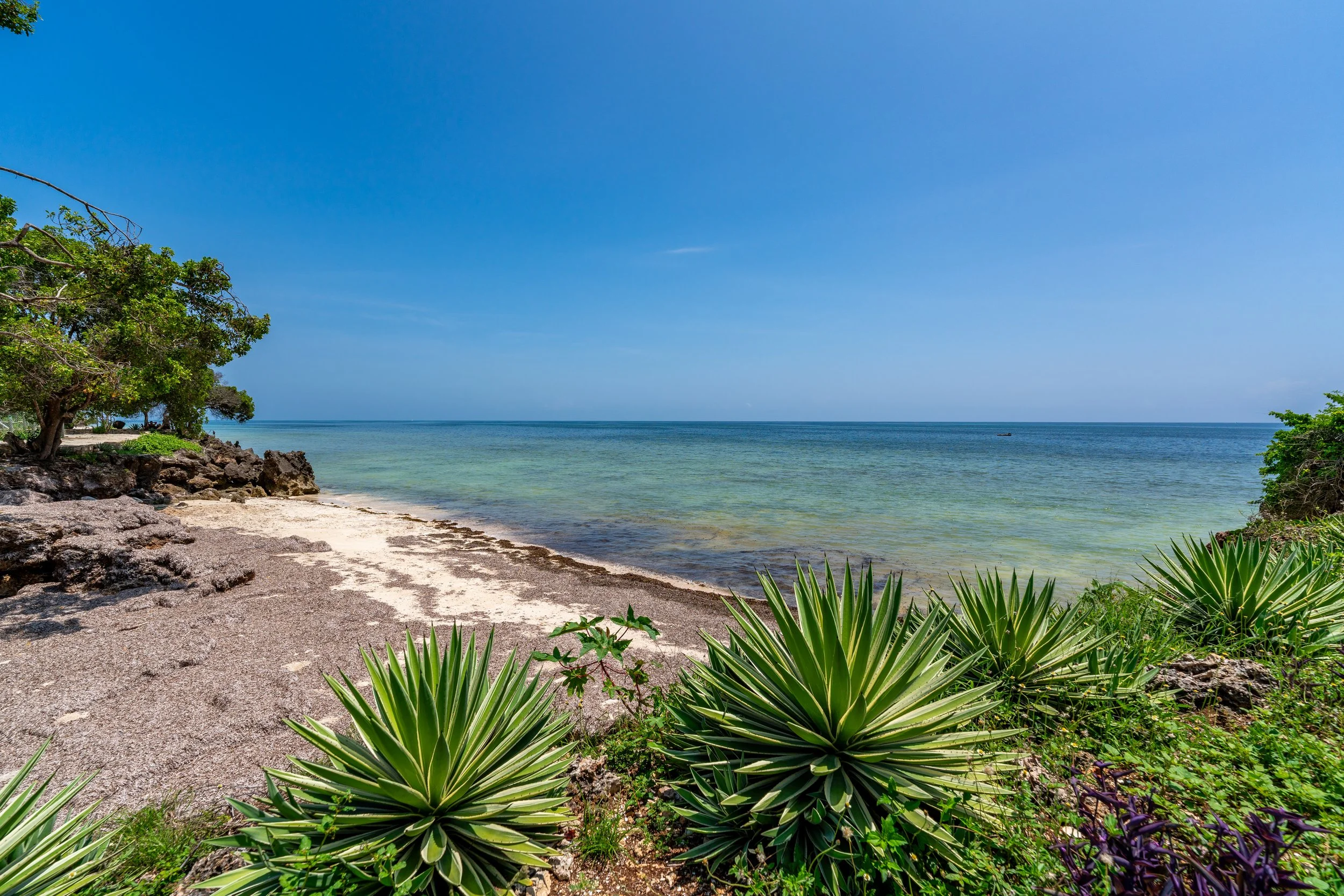 0064-Casa Blanca Baharini Nov 2025-_A7R5635.jpg