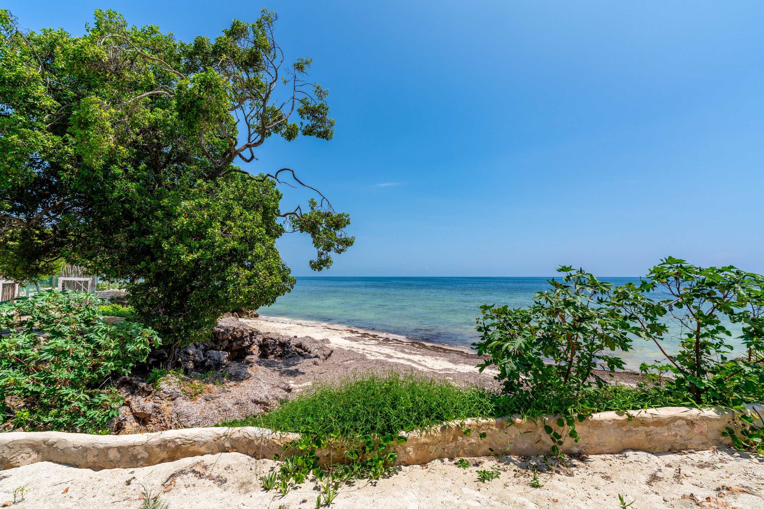 0063-Casa Blanca Baharini Nov 2025-_A7R5633.jpg