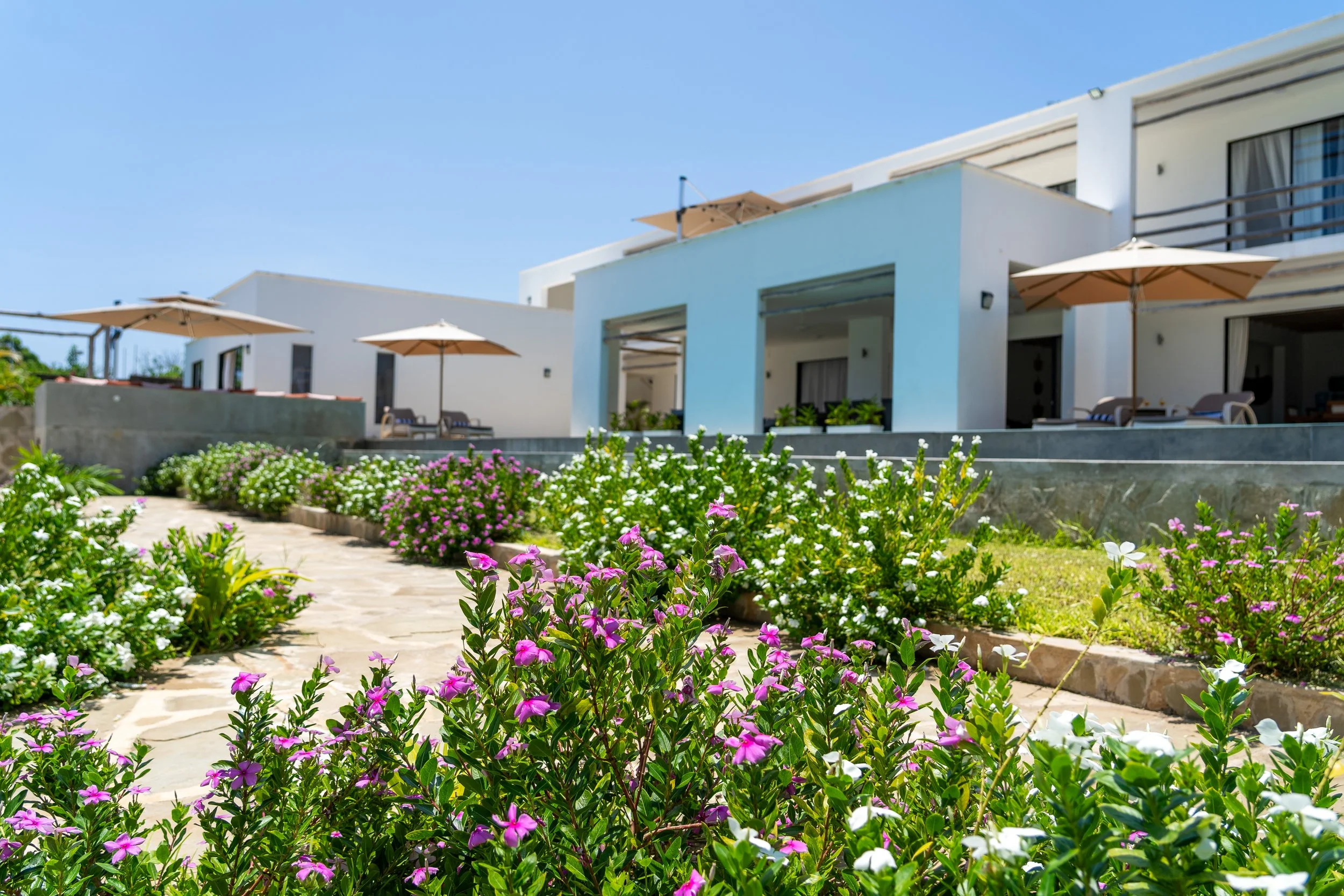 0203-Casa Blanca Baharini Nov 2025-_DSC9709.jpg