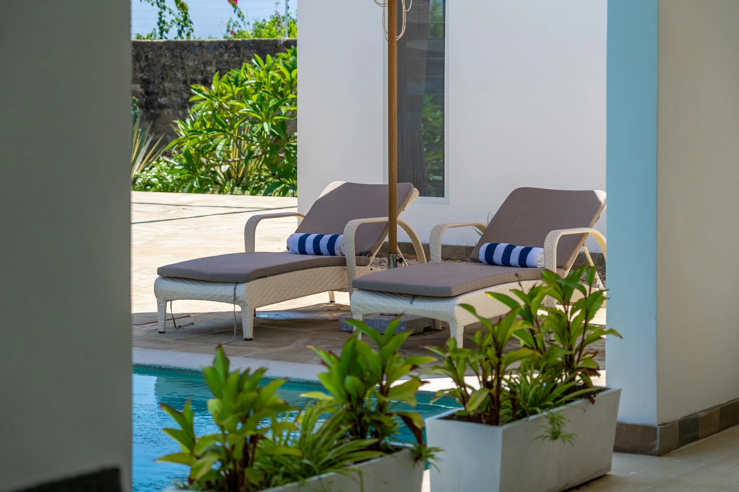 0212-Casa Blanca Baharini Nov 2025-_DSC9736.jpg