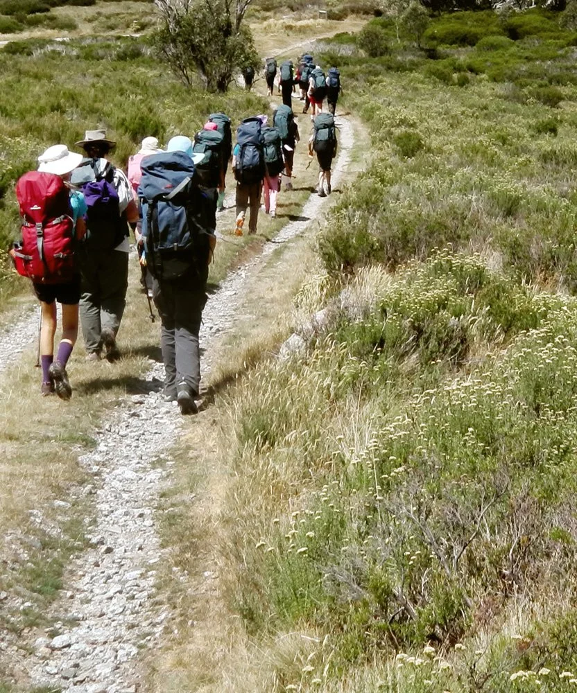 Students hiking along a mountain trail during a Venture Outdoors Co. summer program.