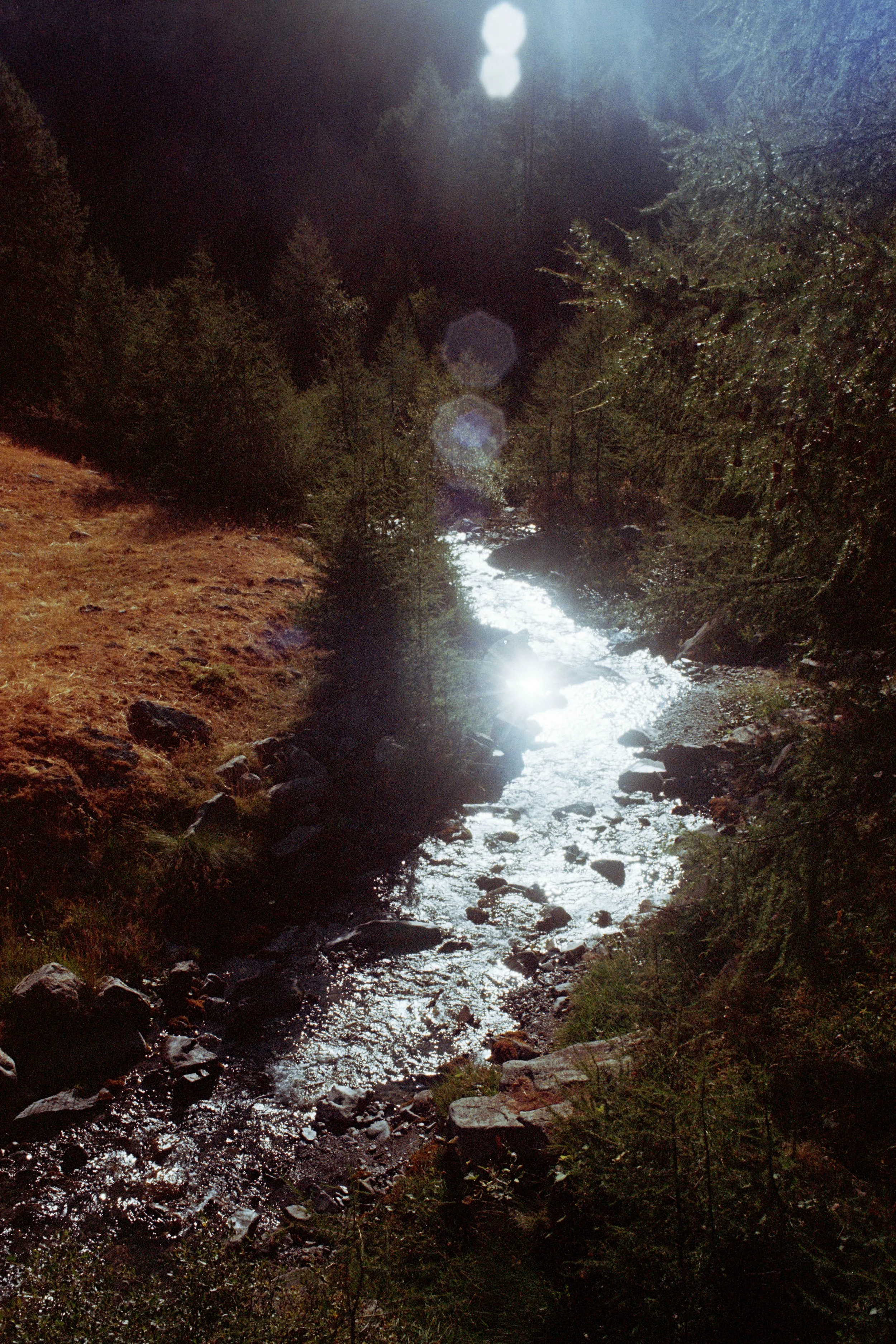 CHARBONNIER_Julie_Le Velours des ronces11.jpg