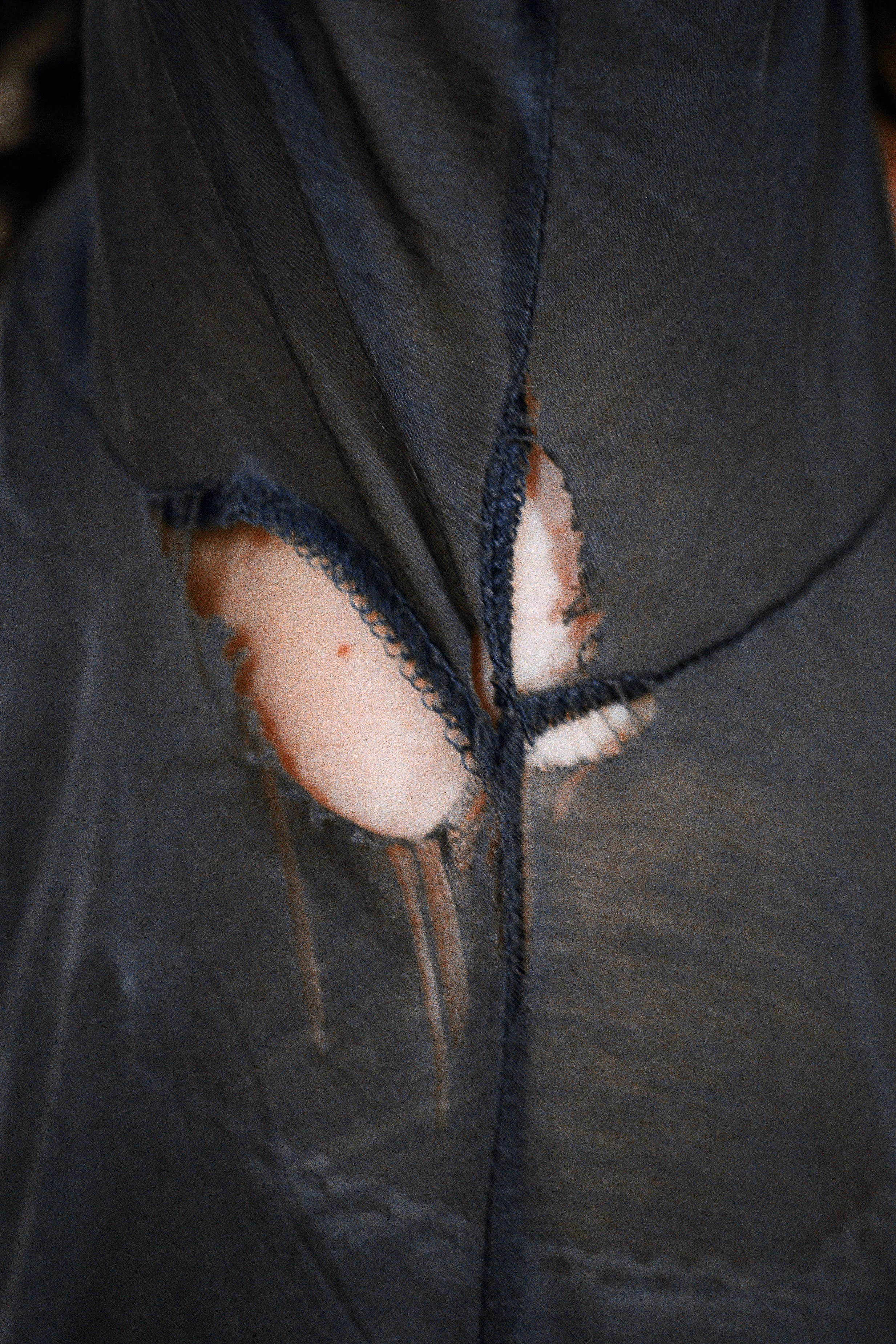 CHARBONNIER_Julie_Le Velours des ronces17.jpg