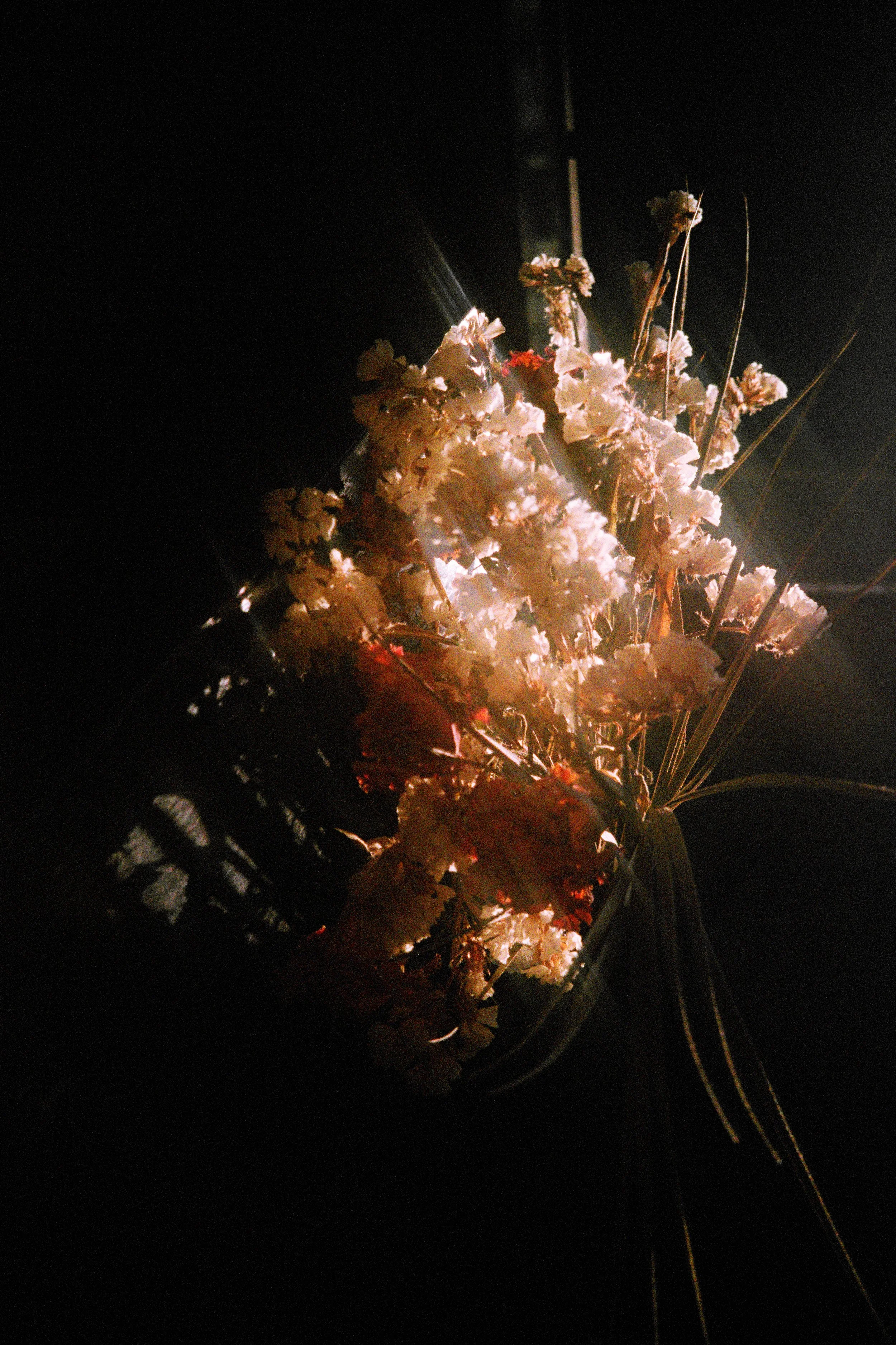 CHARBONNIER_Julie_Le Velours des ronces13.jpg