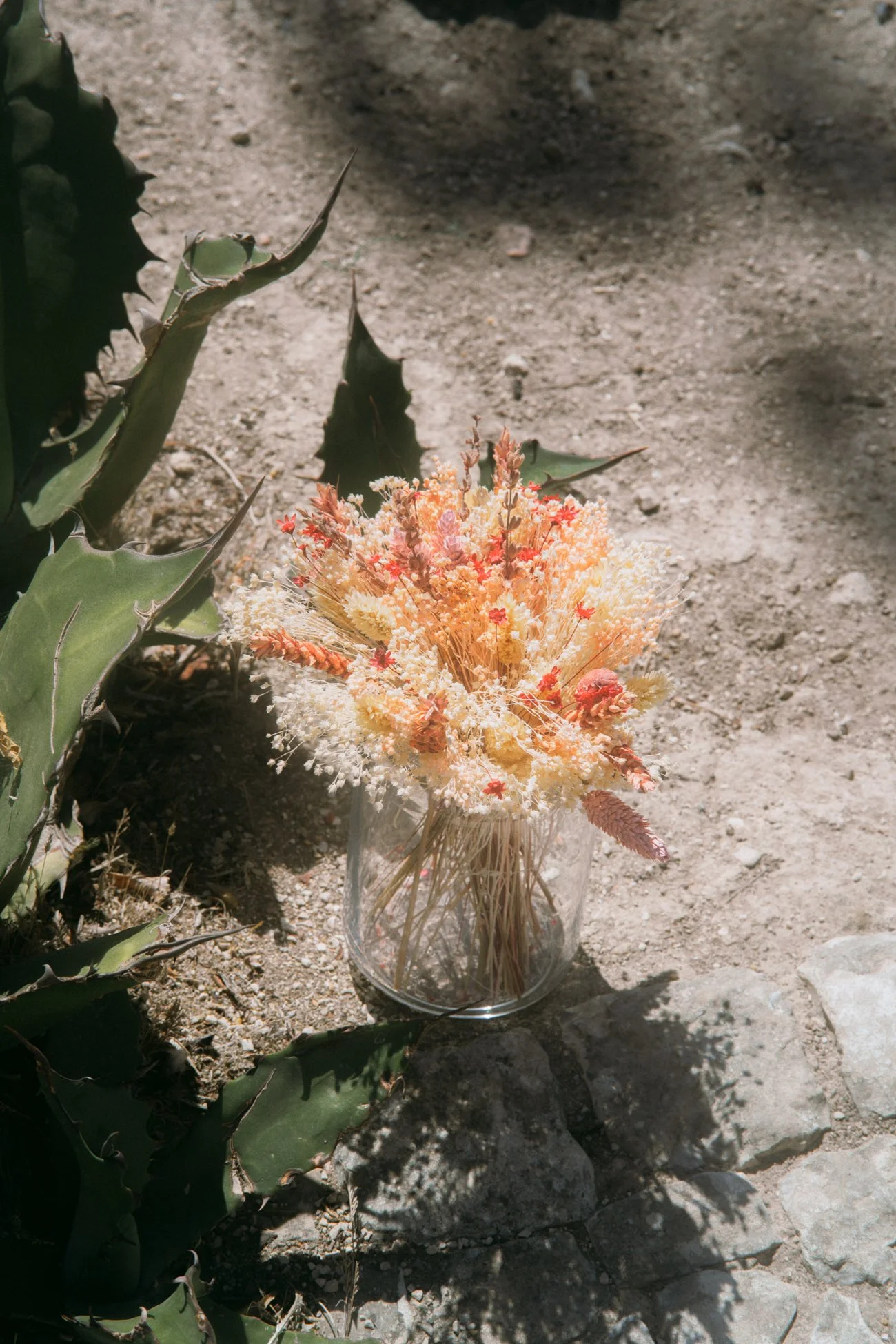 Bunte Trockenblumen in einer transparenten Vasen, auf getrocknetem Boden, neben Kakteenpflanzen