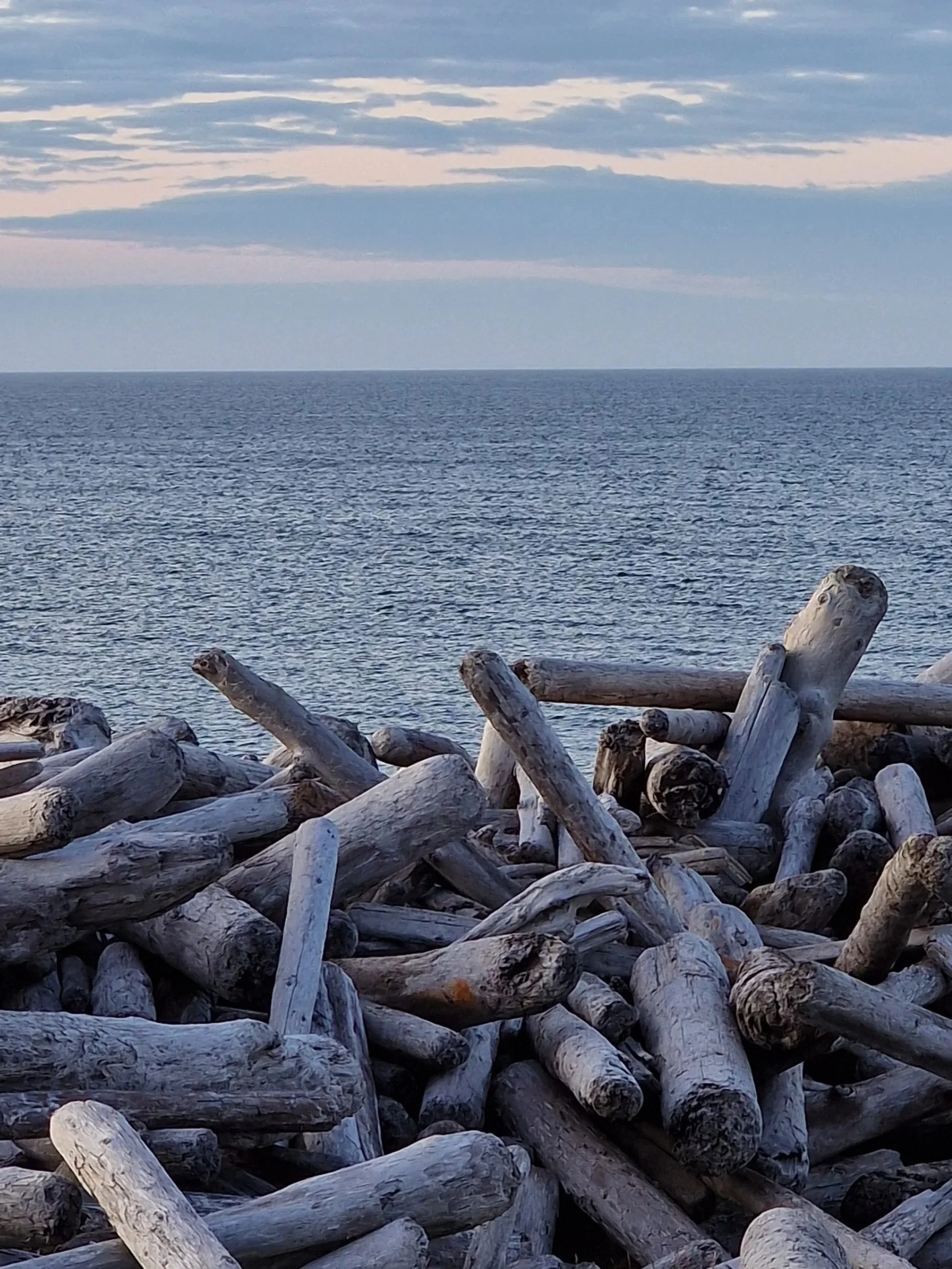 Pile of weathered driftwood logs on a rocky shore with the ocean and cloudy sky in the background.