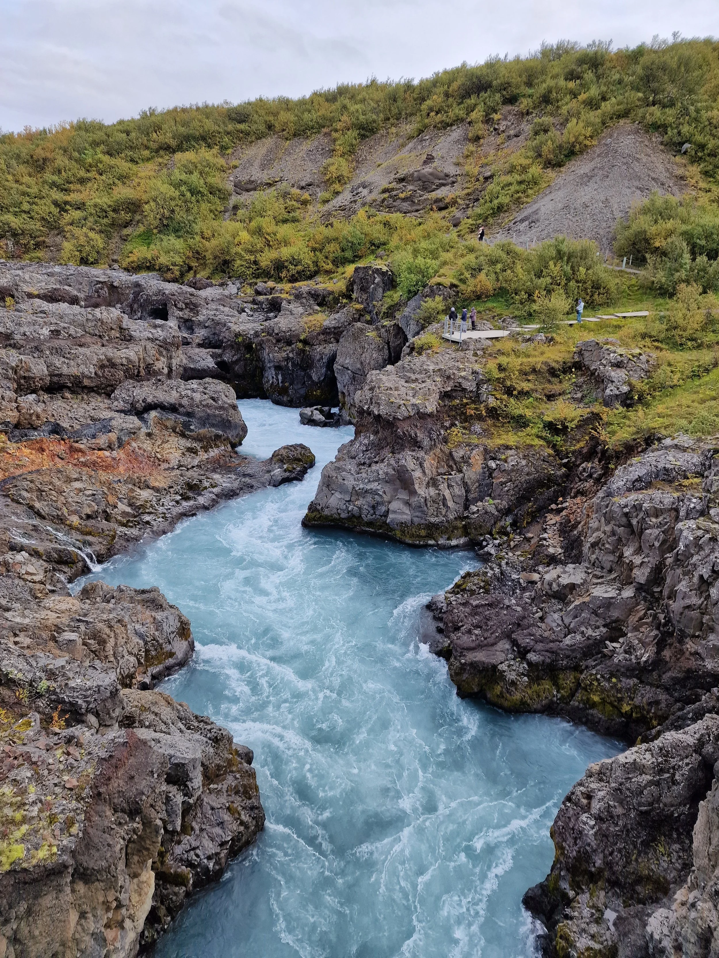 Myndir frá Íslandi - © Ljósmyndari Gyða Eyjólfsdóttir
