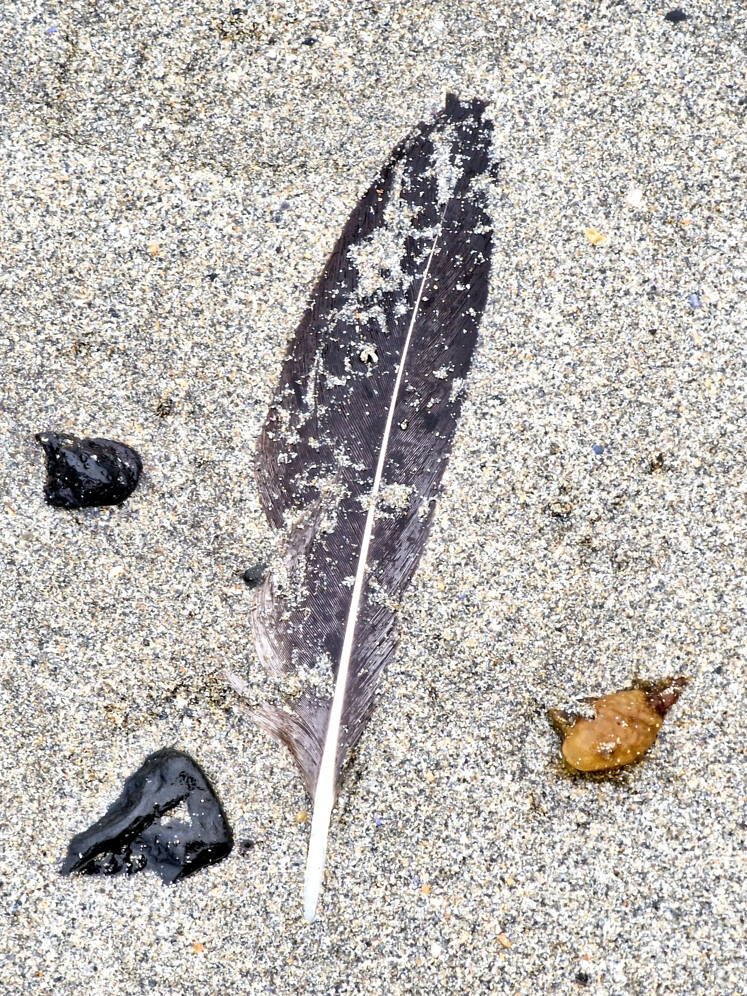 Um Áfallastreituröskun 