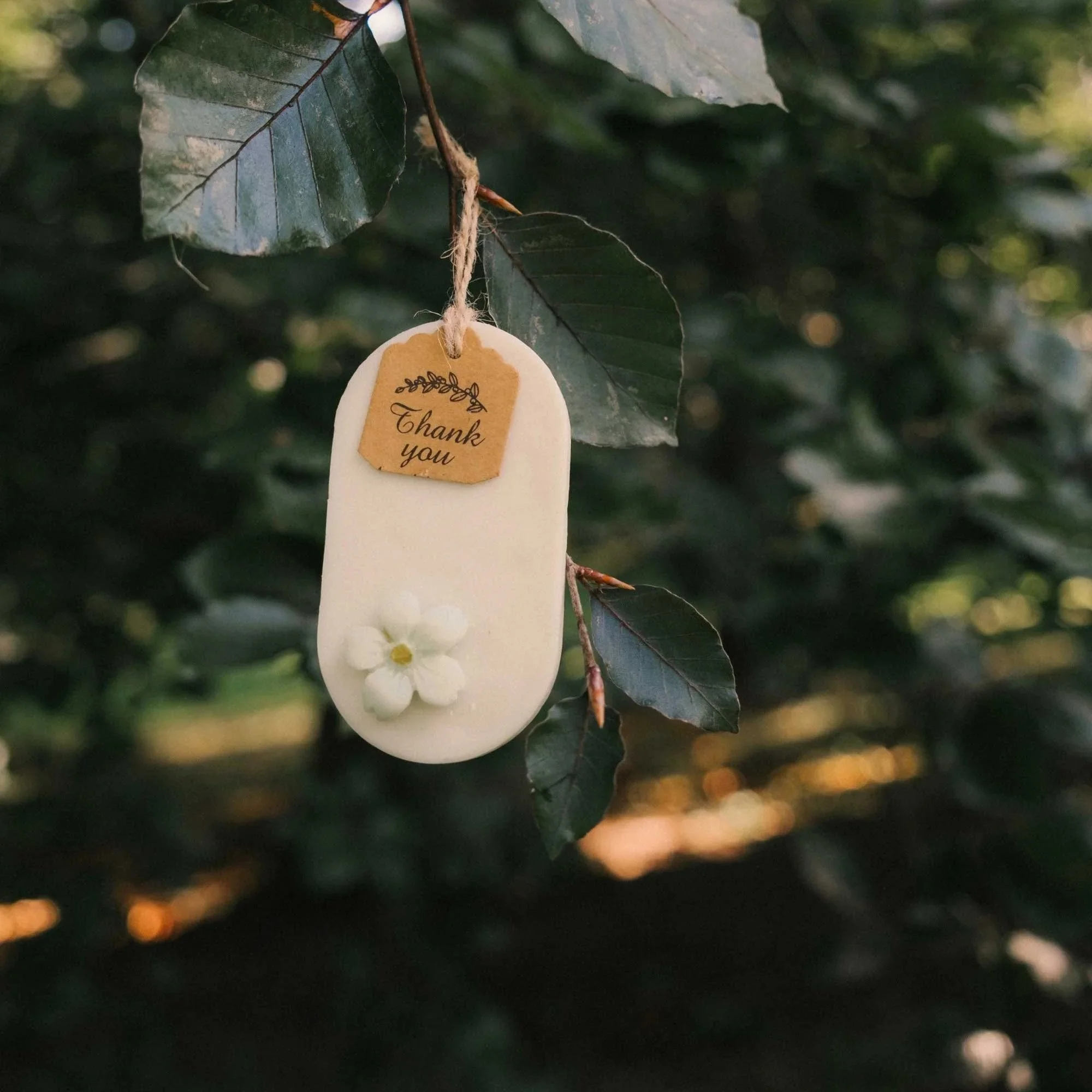 Labiano Inspiración