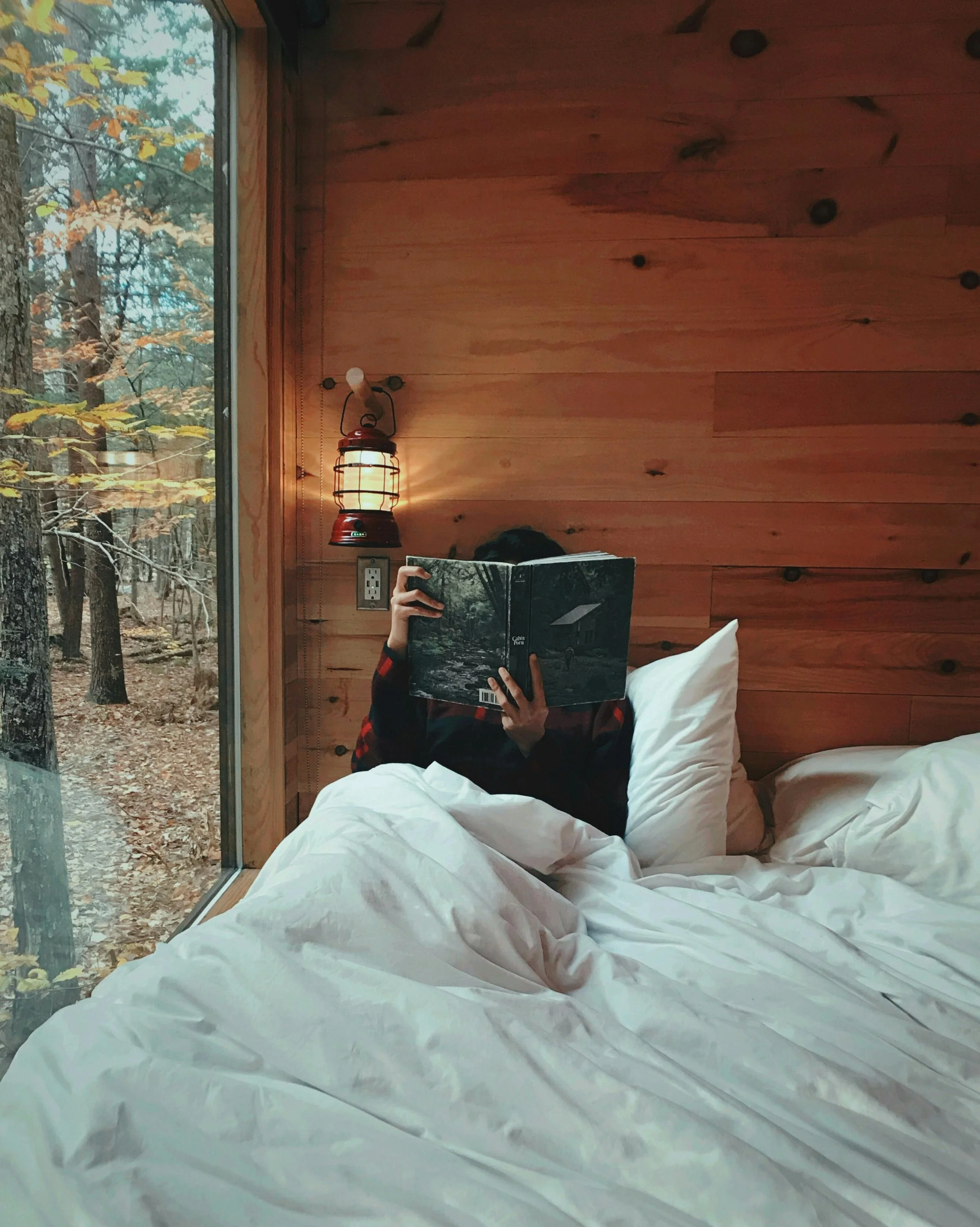 Person sitting in bed reading a book, with a wooden interior and large window showing a forested area outside.