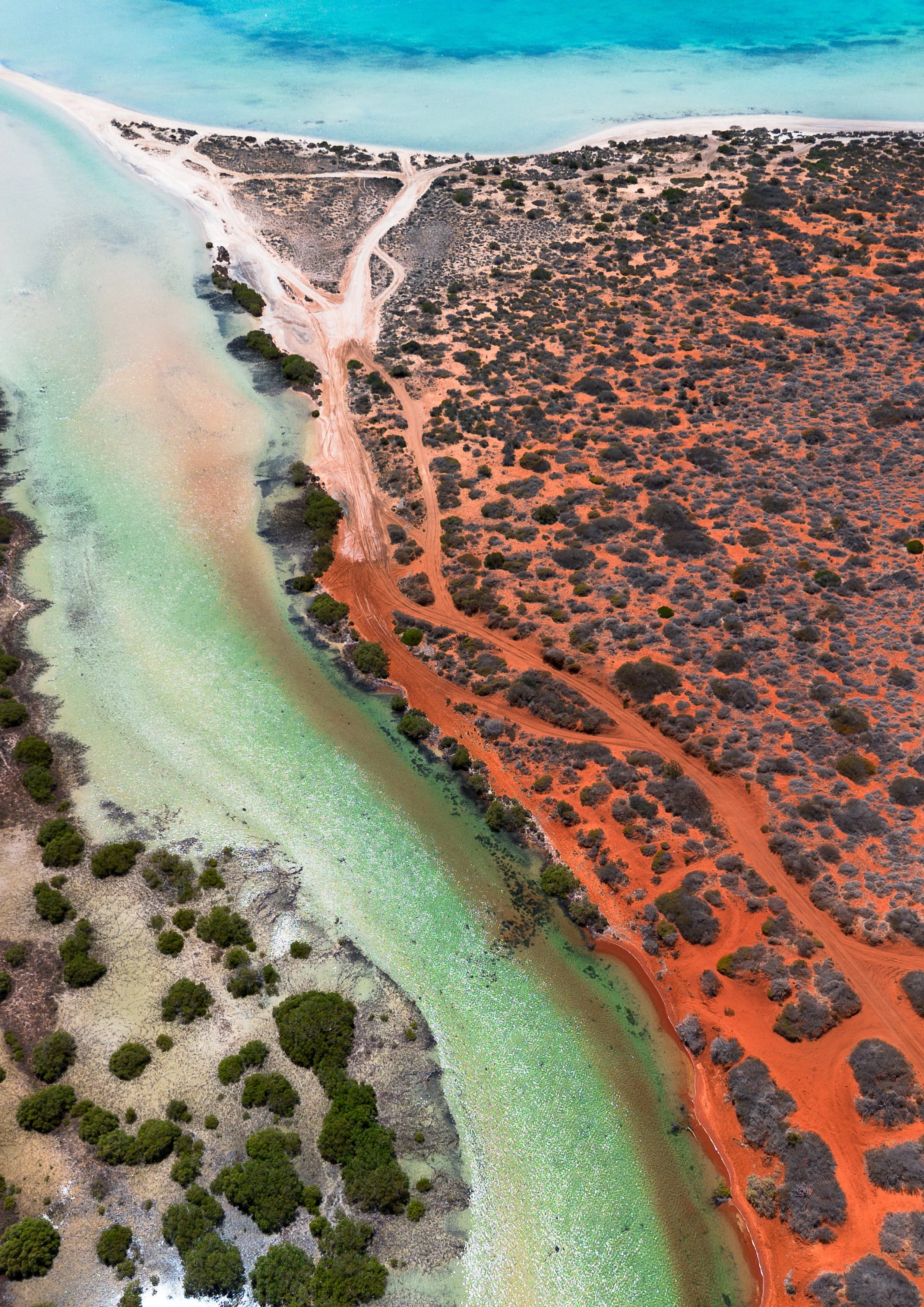 Little Lagoon: One of Shark Bay's Best-Kept Secrets